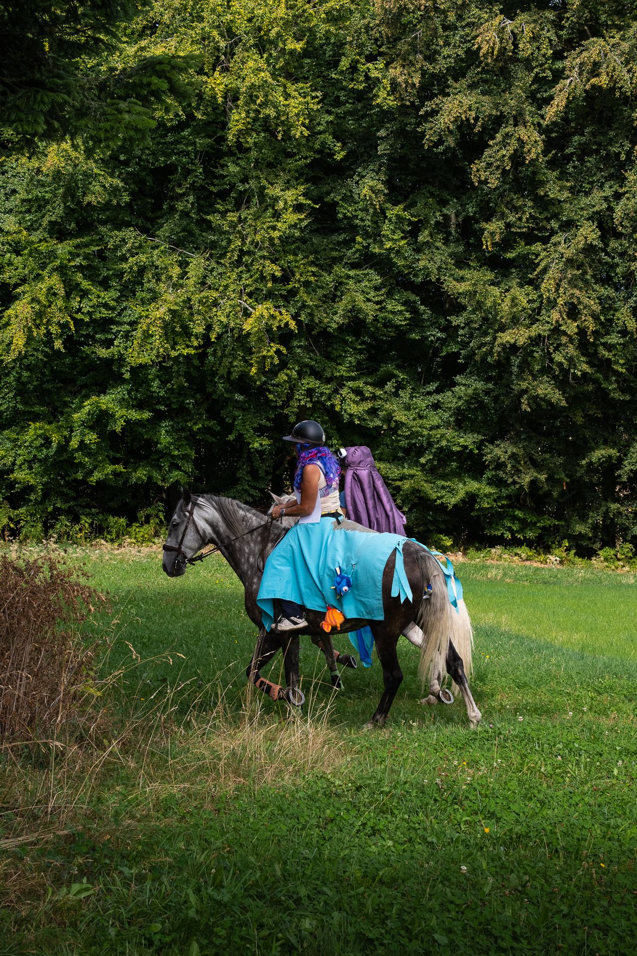 Horsestrail Combremont du 5 septembre 2026 — photo 191 du reportage PawsOnTrack