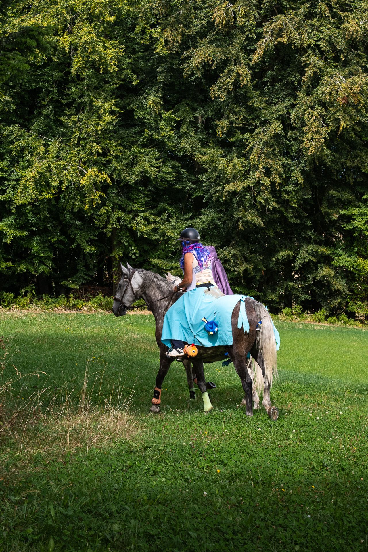 Horsestrail Combremont du 5 septembre 2026 — photo 192 du reportage PawsOnTrack