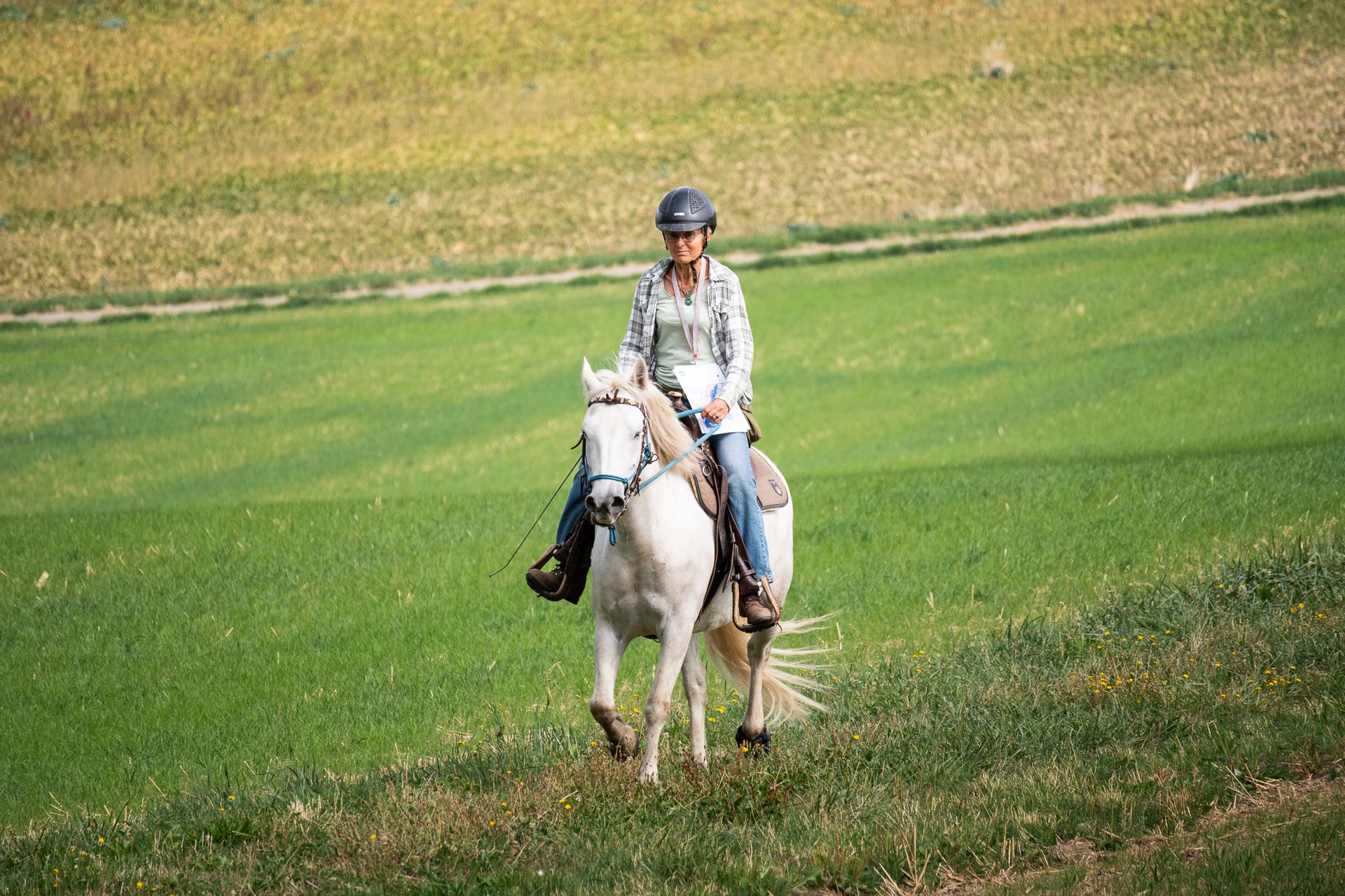 Horsestrail Combremont du 5 septembre 2026 — photo 8 du reportage PawsOnTrack