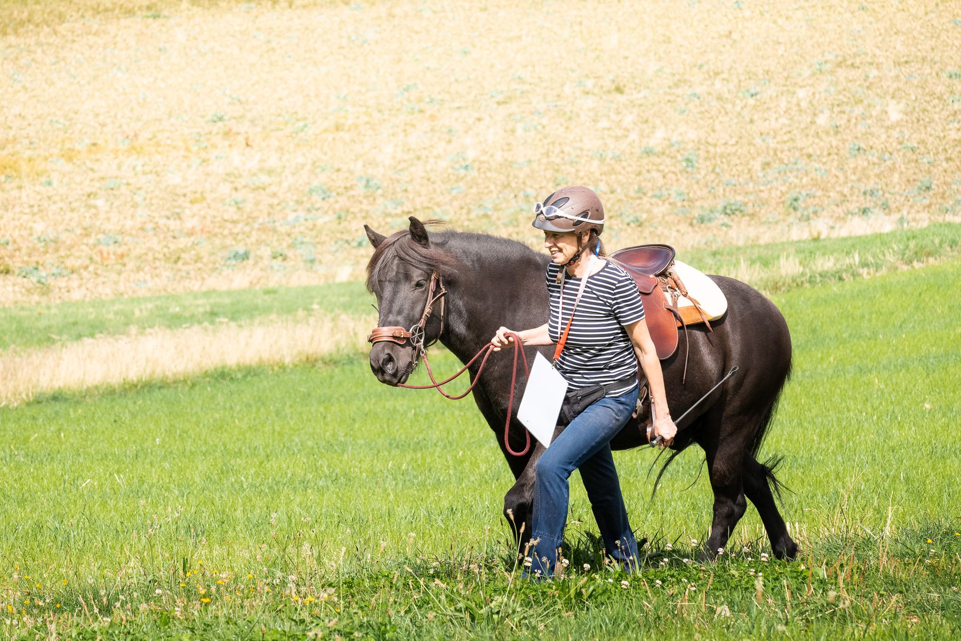 Horsestrail Combremont du 5 septembre 2026 — photo 11 du reportage PawsOnTrack