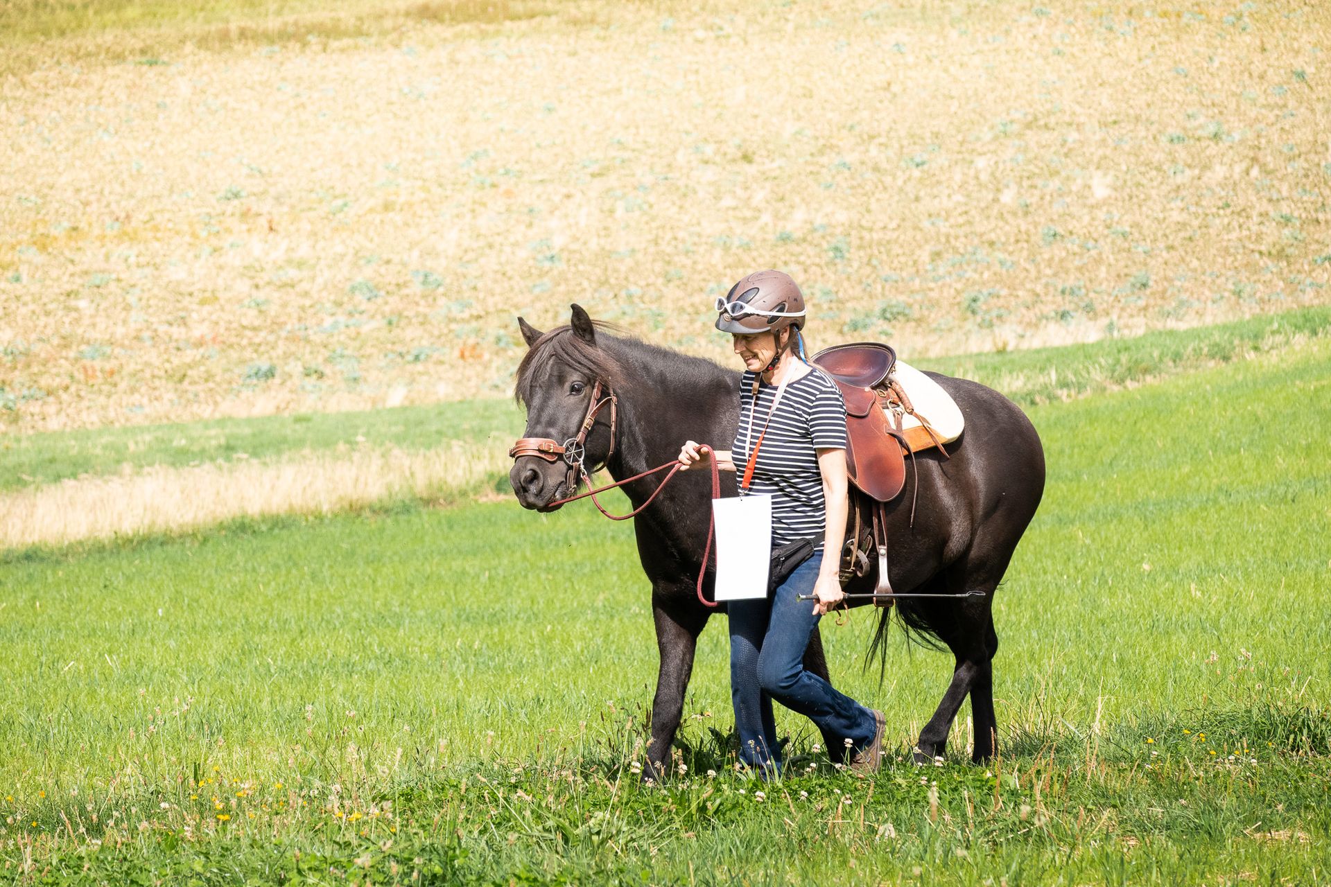 Horsestrail Combremont du 5 septembre 2026 — photo 14 du reportage PawsOnTrack