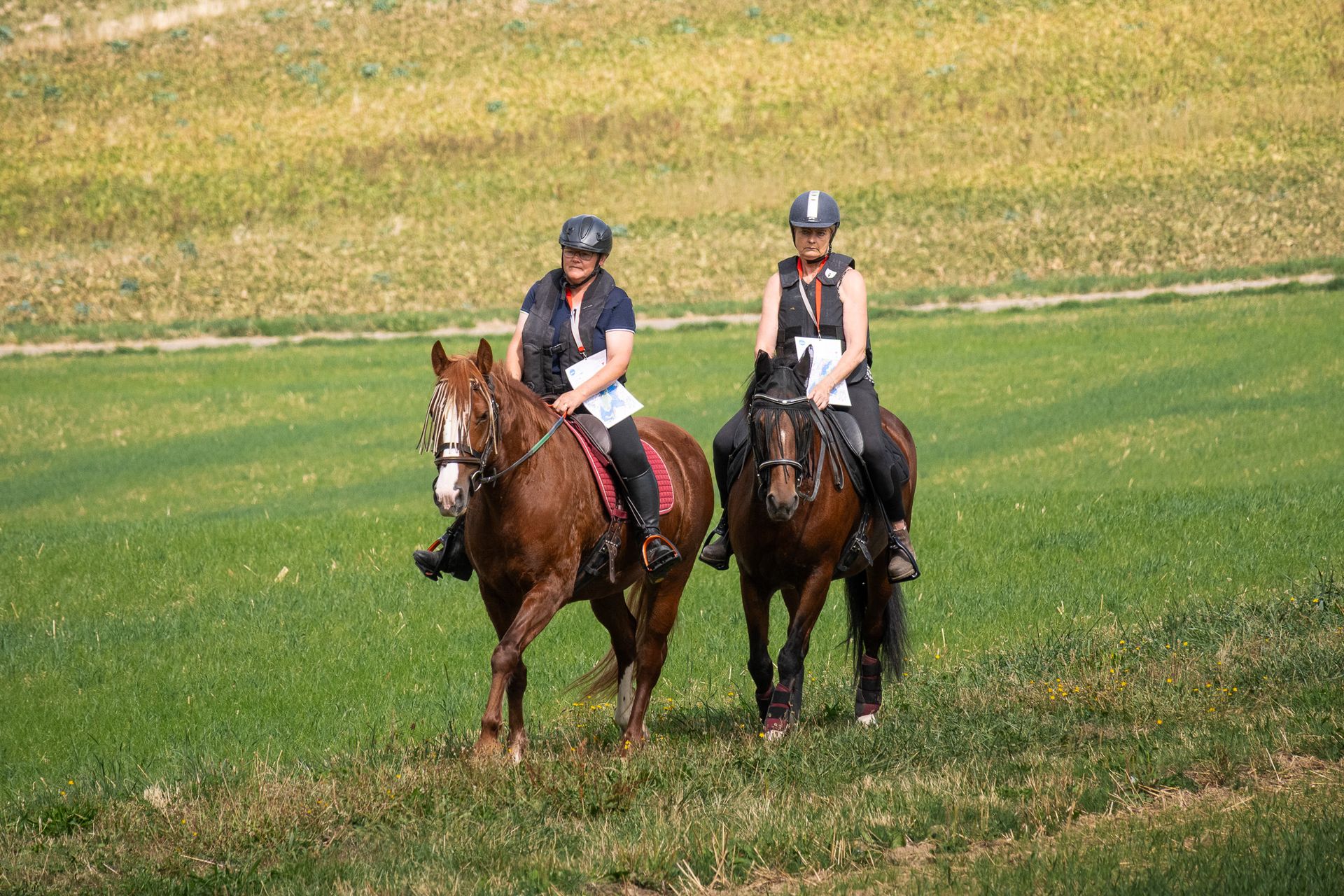 Horsestrail Combremont du 5 septembre 2026 — photo 17 du reportage PawsOnTrack