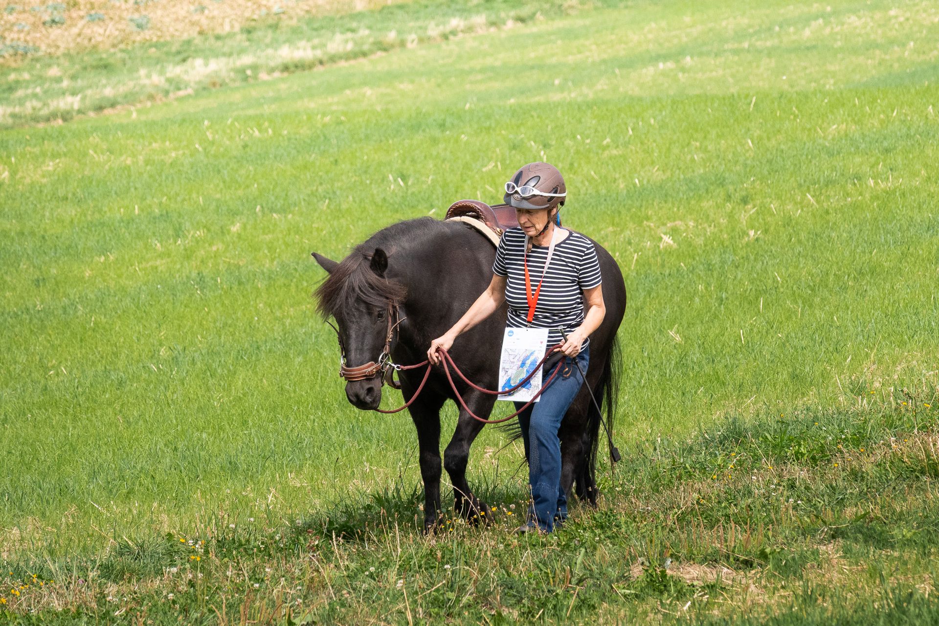 Horsestrail Combremont du 5 septembre 2026 — photo 32 du reportage PawsOnTrack