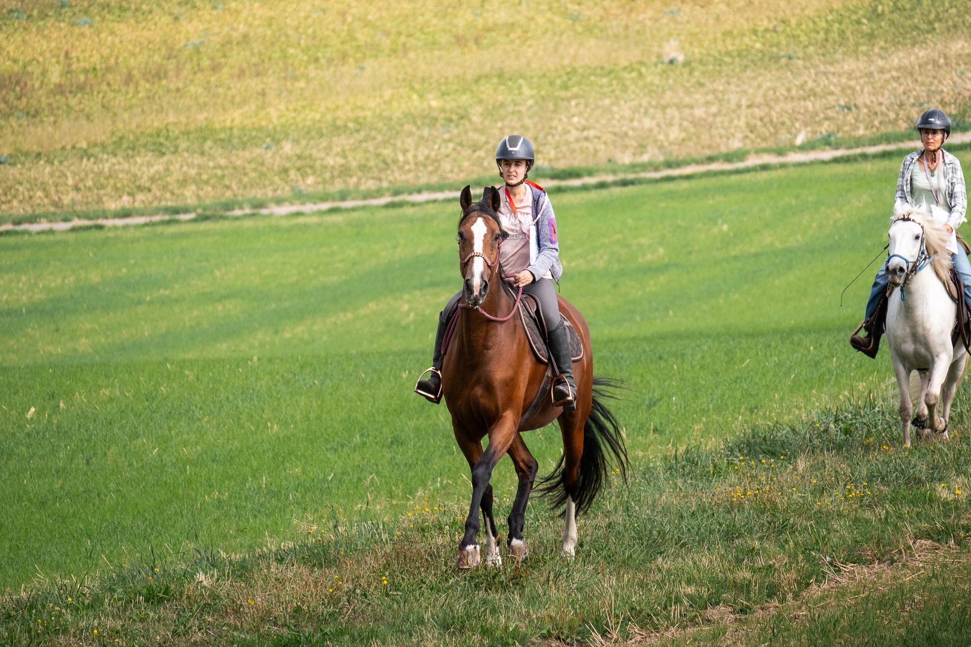 Horsestrail Combremont du 5 septembre 2026 — photo 9 du reportage PawsOnTrack