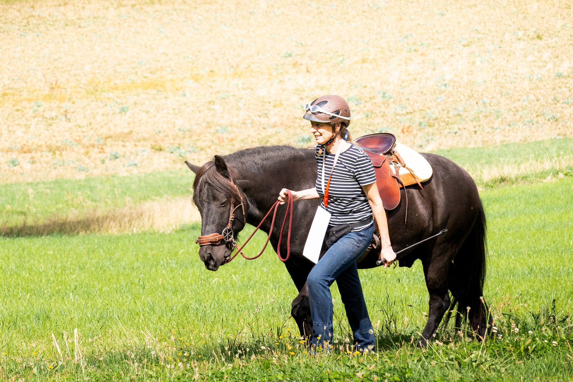 Horsestrail Combremont du 5 septembre 2026 — photo 12 du reportage PawsOnTrack