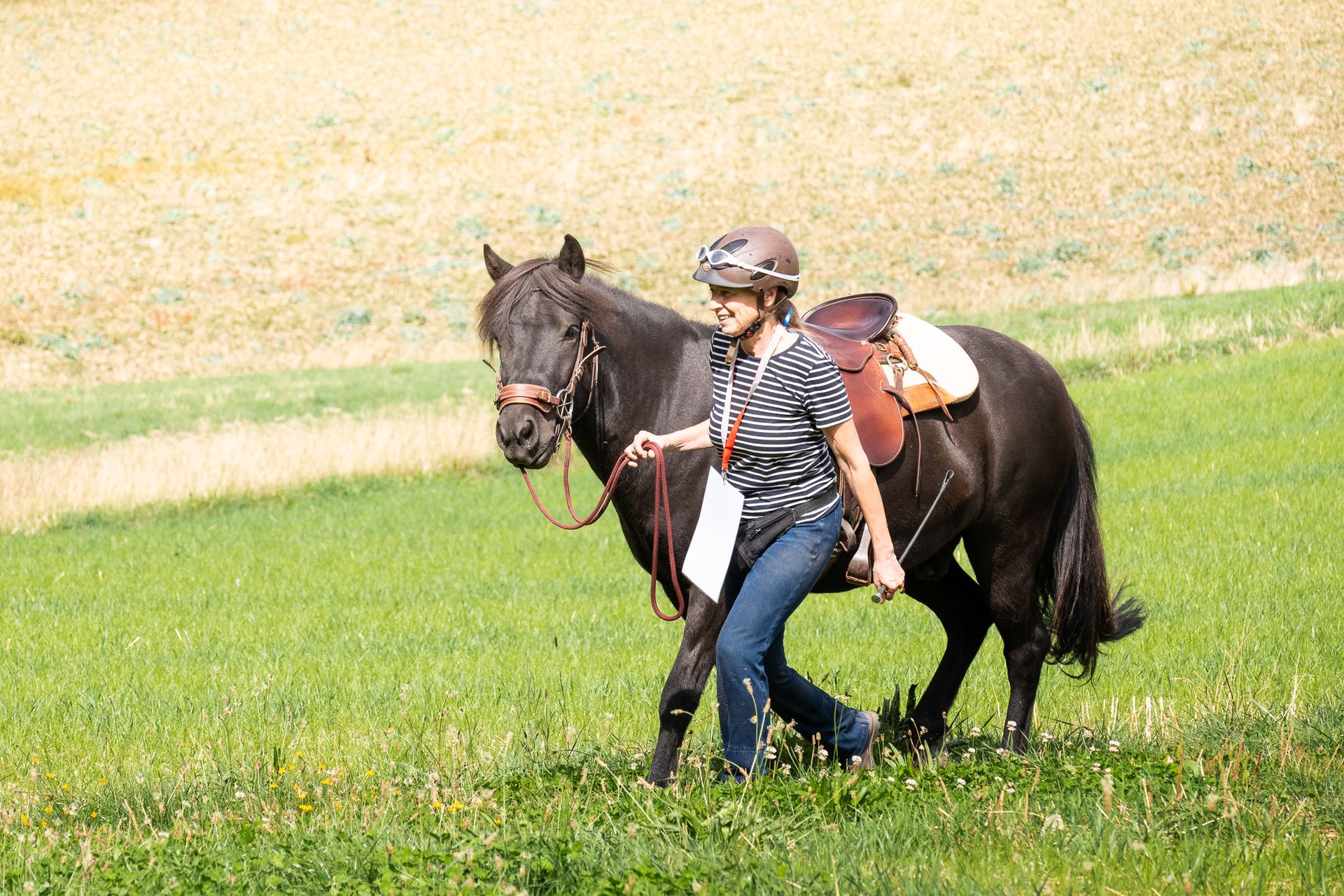 Horsestrail Combremont du 5 septembre 2026 — photo 15 du reportage PawsOnTrack