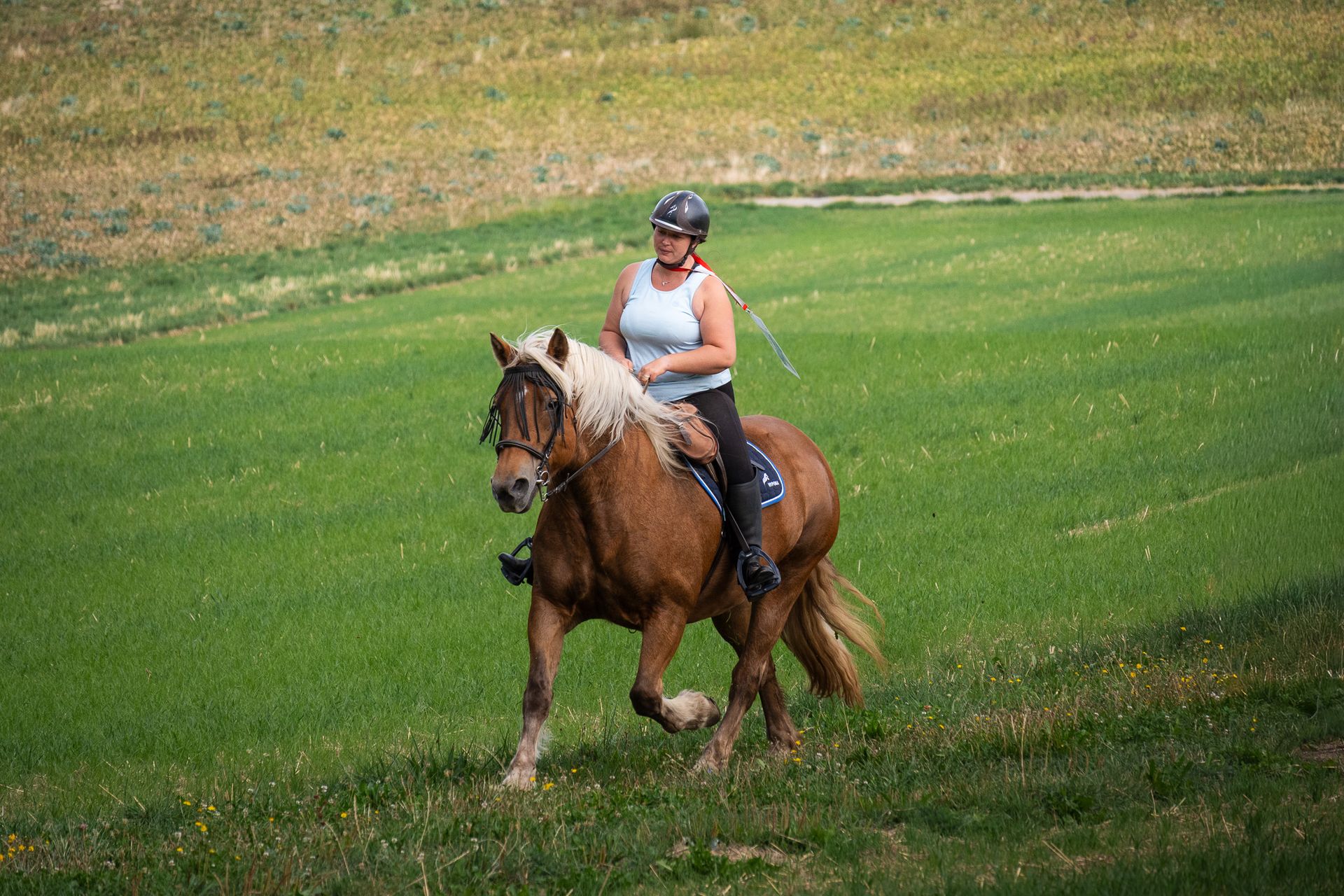 Horsestrail Combremont du 5 septembre 2026 — photo 5 du reportage PawsOnTrack