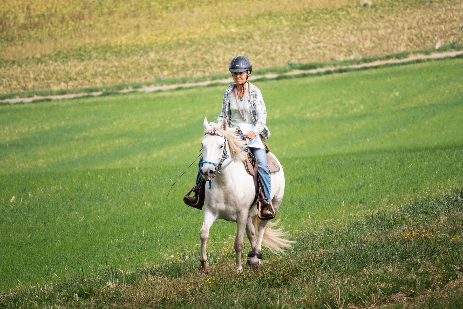 Horsestrail Combremont du 5 septembre 2026 — photo 7 du reportage PawsOnTrack