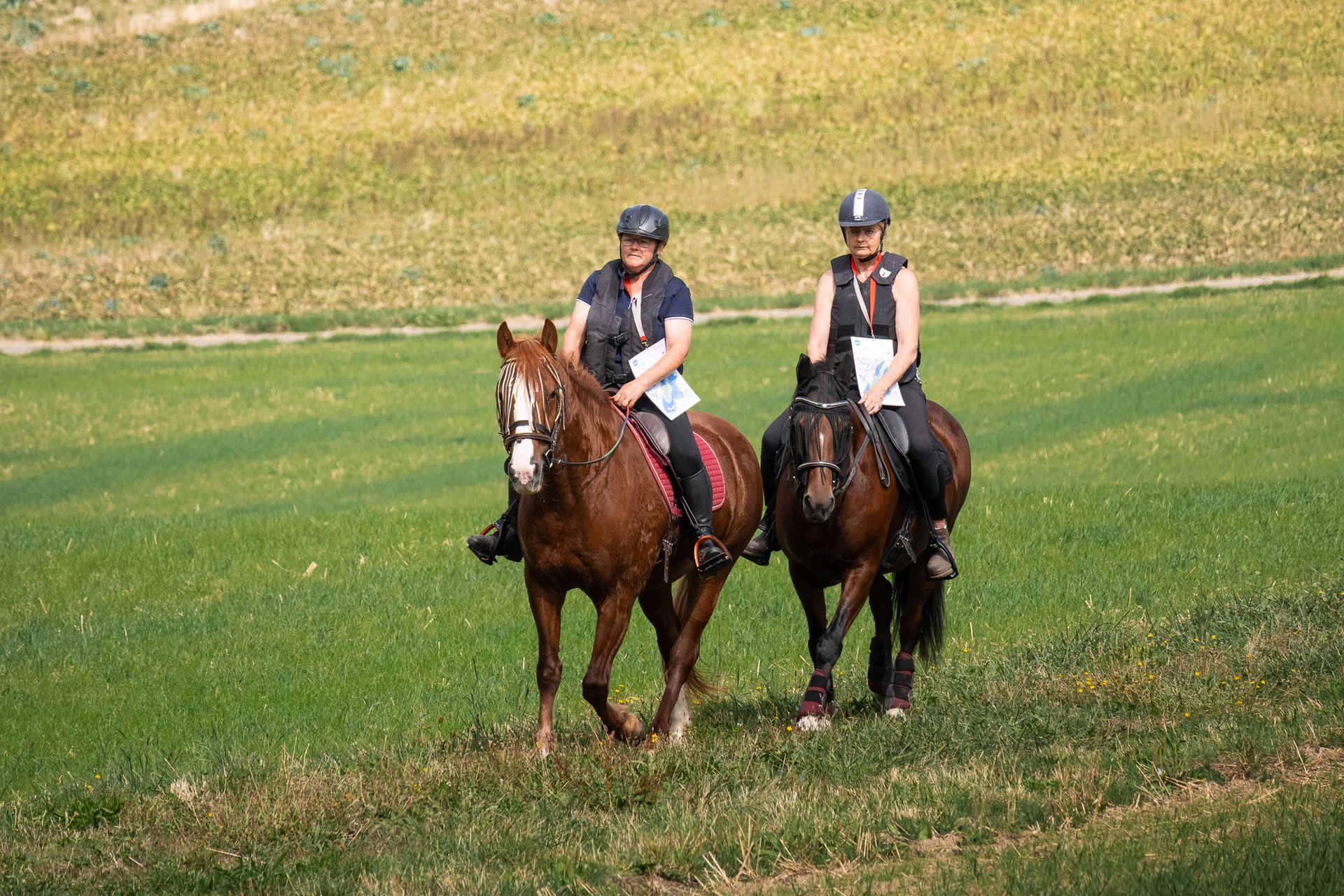 Horsestrail Combremont du 5 septembre 2026 — photo 16 du reportage PawsOnTrack