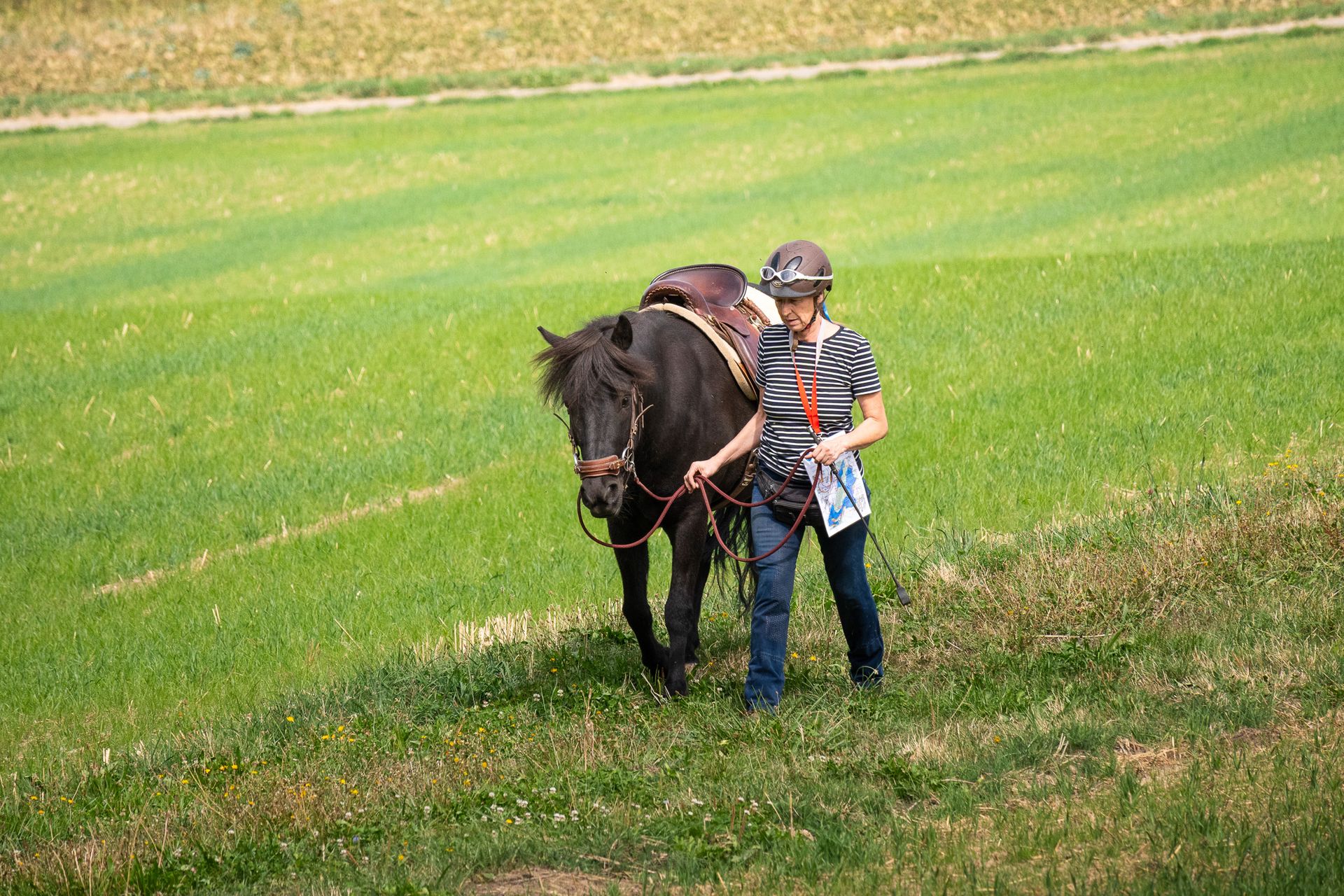 Horsestrail Combremont du 5 septembre 2026 — photo 30 du reportage PawsOnTrack