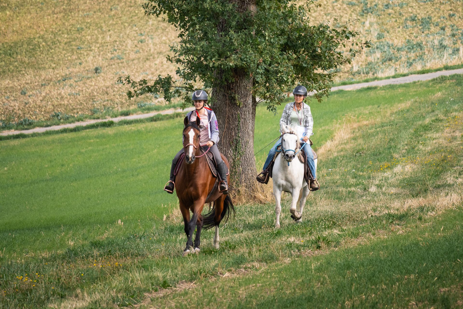 Horsestrail Combremont du 5 septembre 2026 — photo 41 du reportage PawsOnTrack