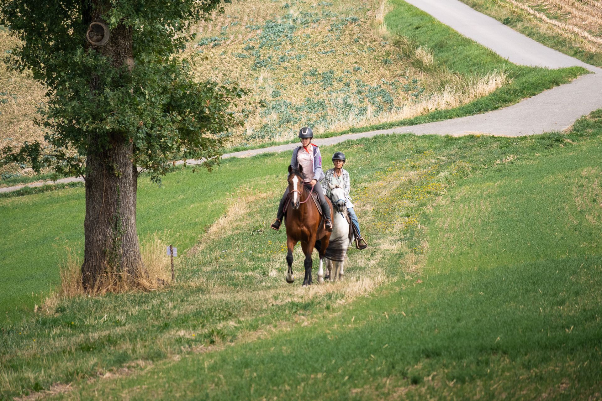 Horsestrail Combremont du 5 septembre 2026 — photo 50 du reportage PawsOnTrack
