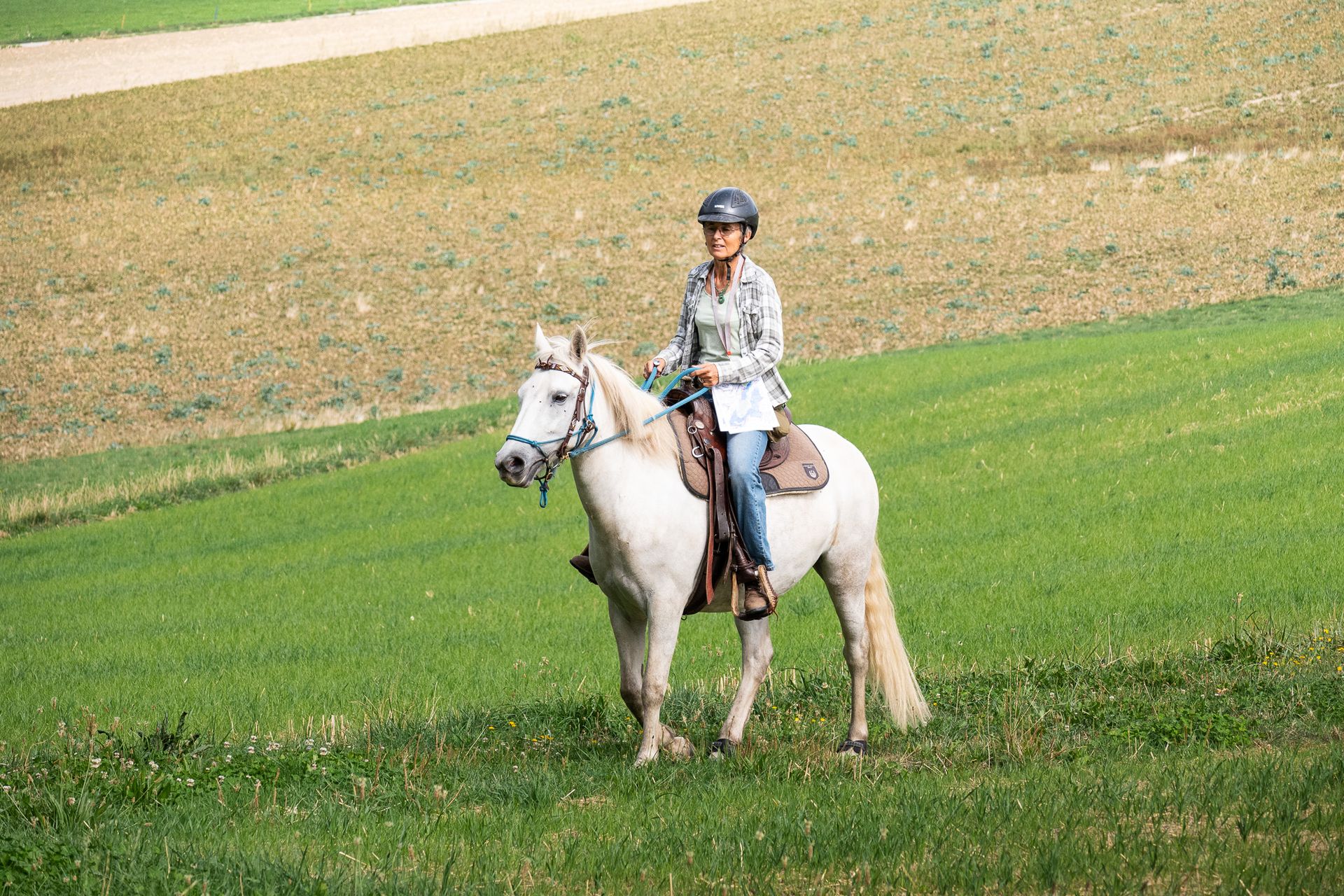 Horsestrail Combremont du 5 septembre 2026 — photo 47 du reportage PawsOnTrack