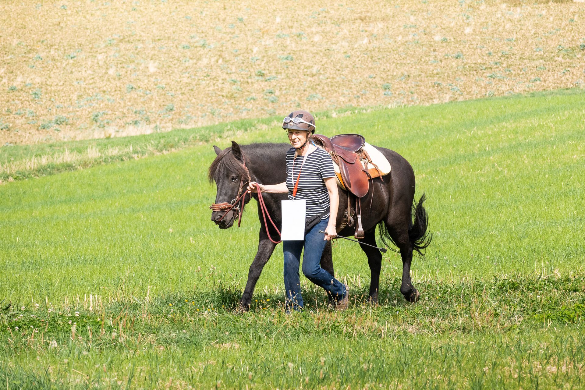 Horsestrail Combremont du 5 septembre 2026 — photo 65 du reportage PawsOnTrack