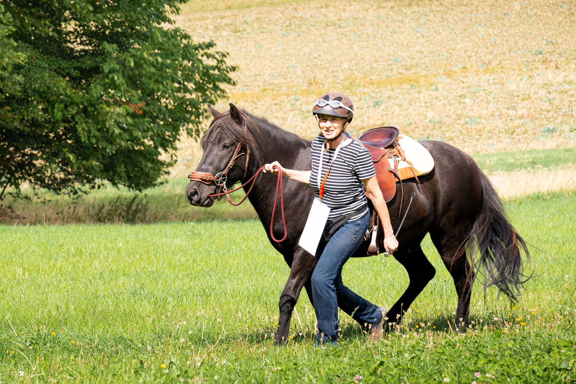 Horsestrail Combremont du 5 septembre 2026 — photo 56 du reportage PawsOnTrack