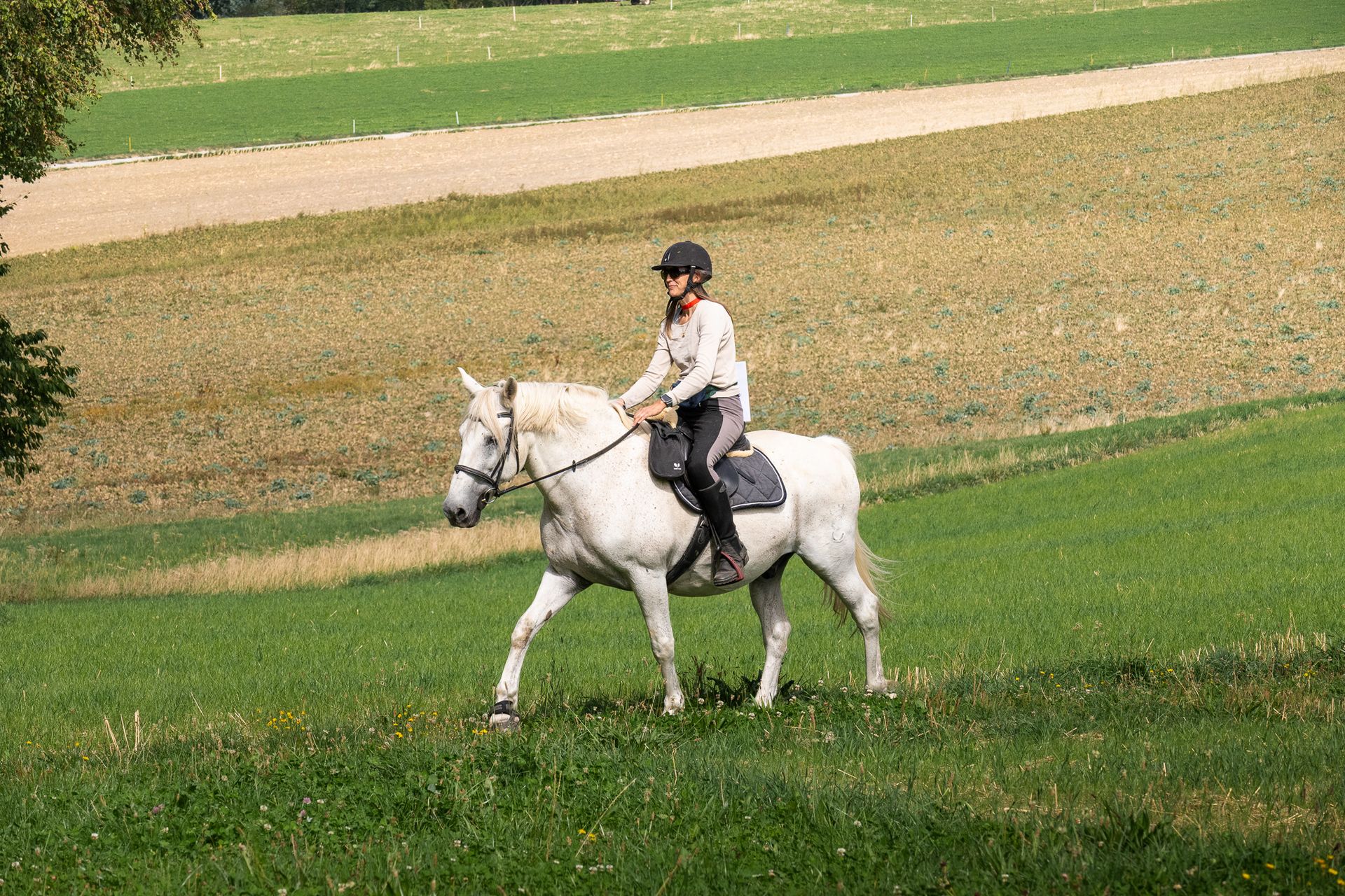 Horsestrail Combremont du 5 septembre 2026 — photo 80 du reportage PawsOnTrack