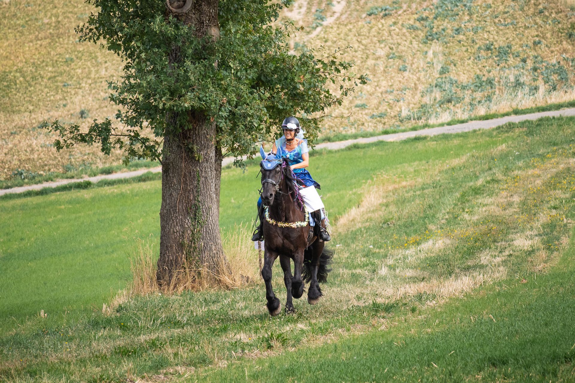 Horsestrail Combremont du 5 septembre 2026 — photo 92 du reportage PawsOnTrack