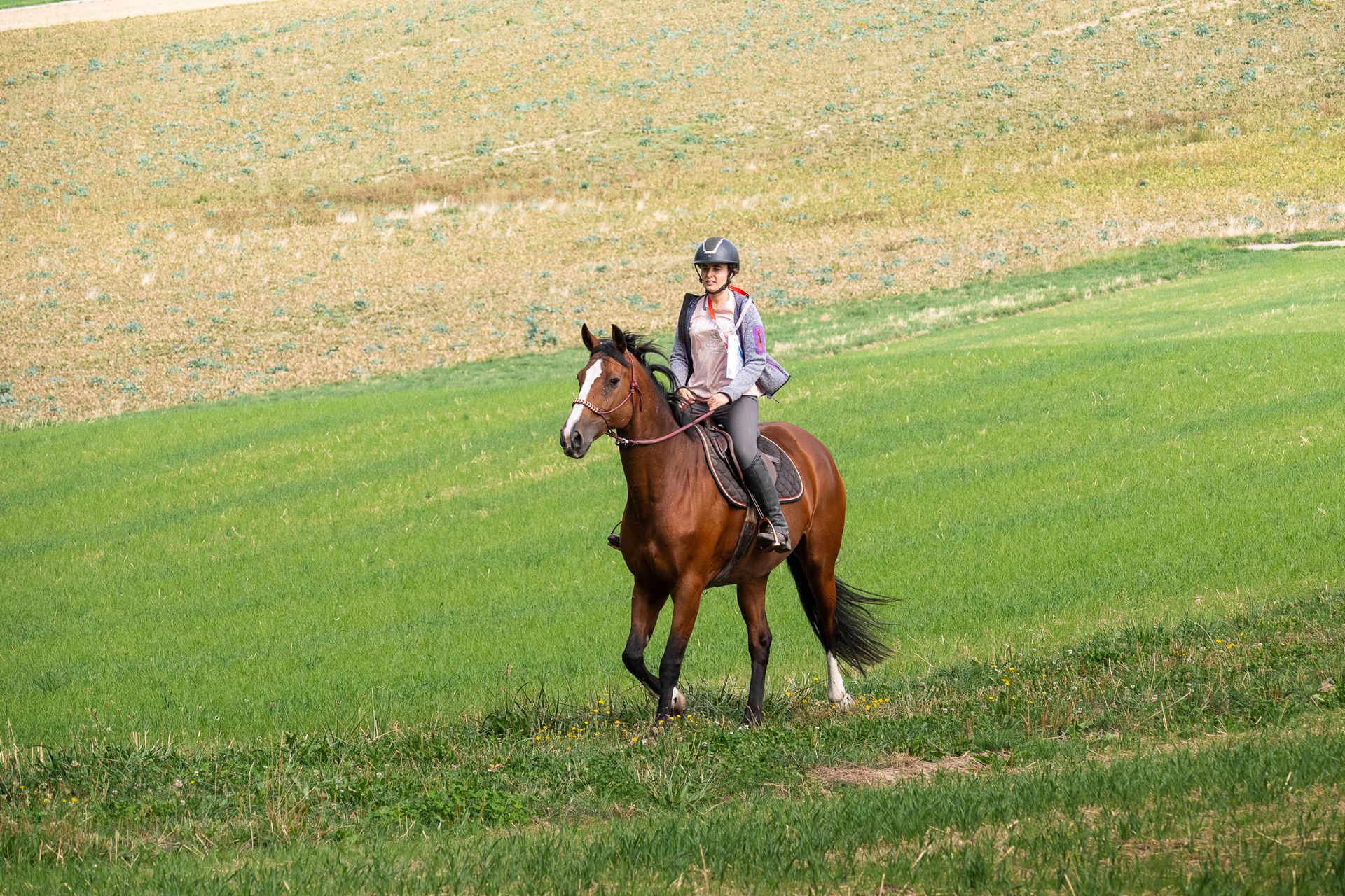 Horsestrail Combremont du 5 septembre 2026 — photo 98 du reportage PawsOnTrack