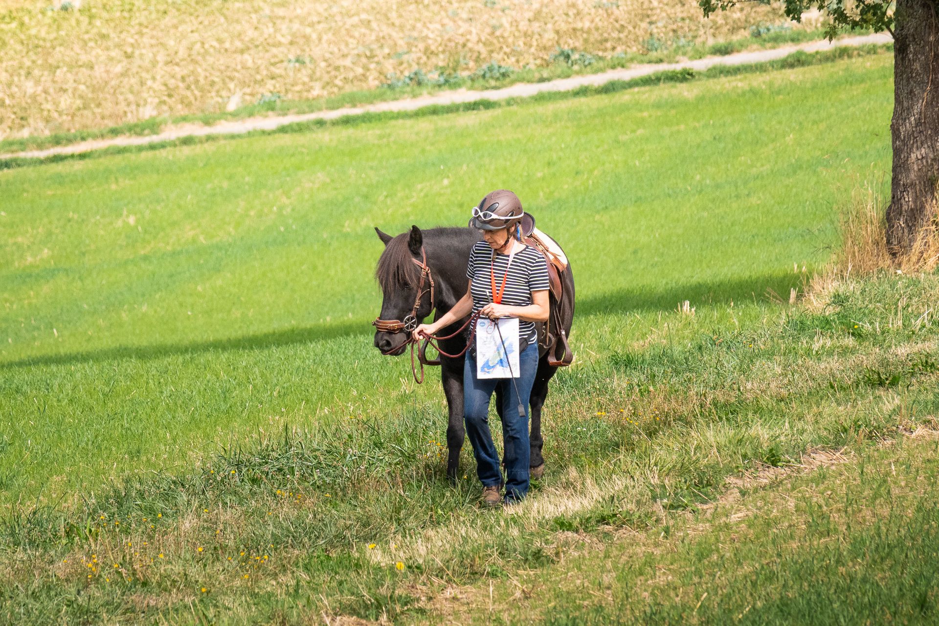 Horsestrail Combremont du 5 septembre 2026 — photo 68 du reportage PawsOnTrack