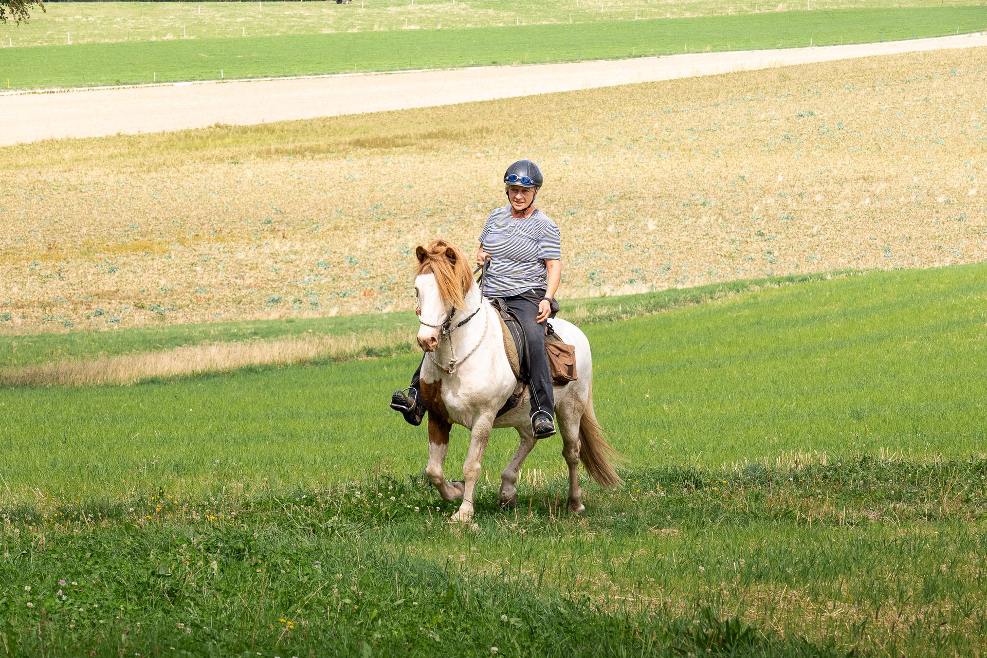 Horsestrail Combremont du 5 septembre 2026 — photo 110 du reportage PawsOnTrack