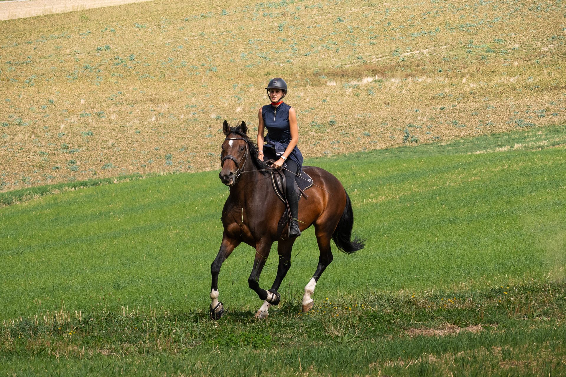 Horsestrail Combremont du 5 septembre 2026 — photo 116 du reportage PawsOnTrack