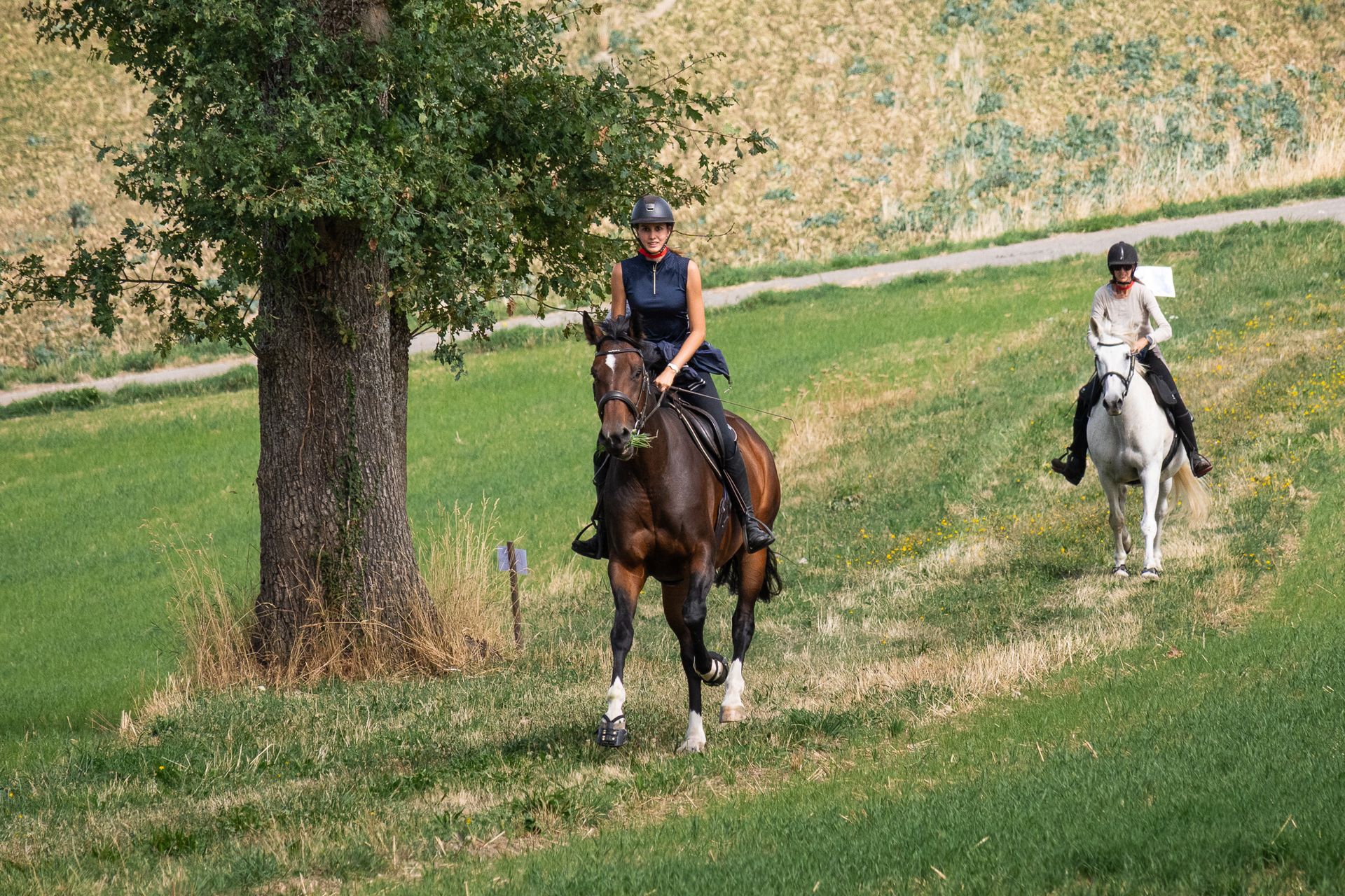 Horsestrail Combremont du 5 septembre 2026 — photo 95 du reportage PawsOnTrack