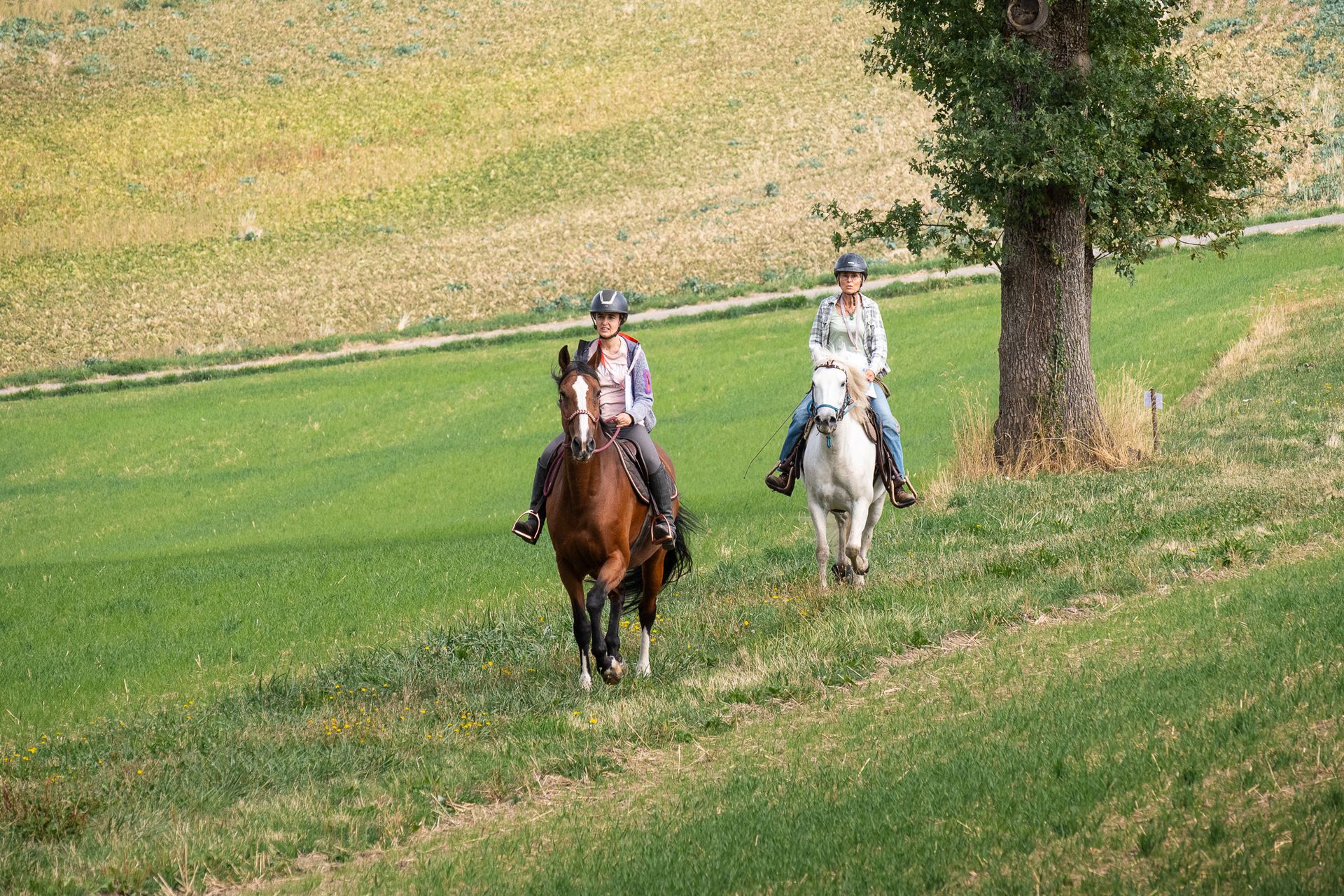 Horsestrail Combremont du 5 septembre 2026 — photo 119 du reportage PawsOnTrack