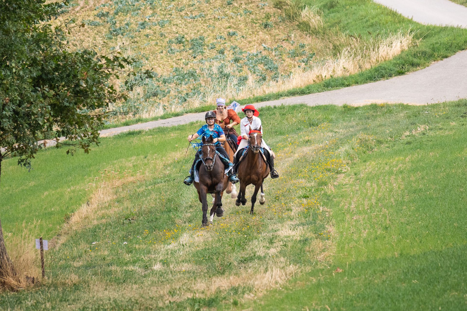 Horsestrail Combremont du 5 septembre 2026 — photo 71 du reportage PawsOnTrack