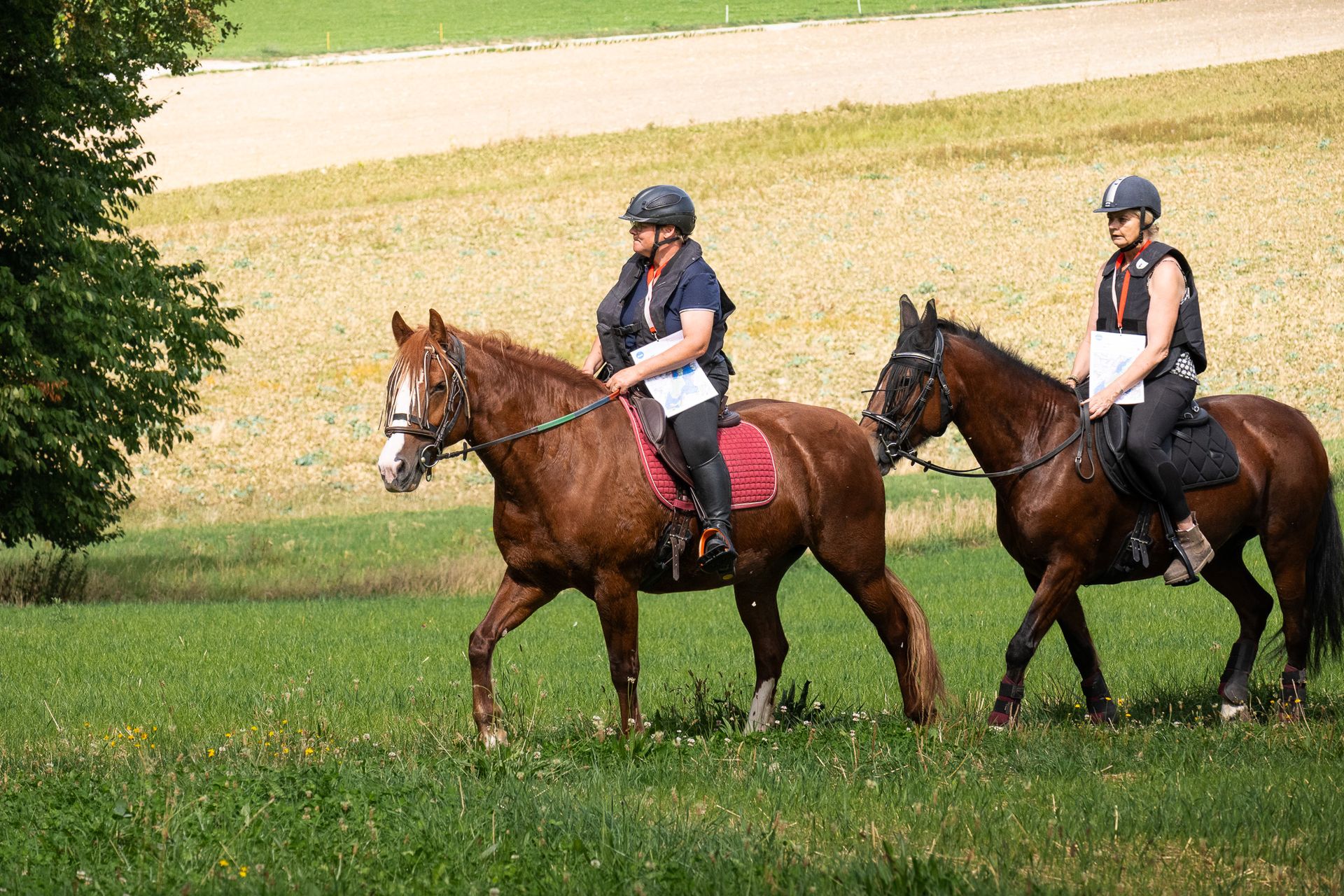Horsestrail Combremont du 5 septembre 2026 — photo 27 du reportage PawsOnTrack