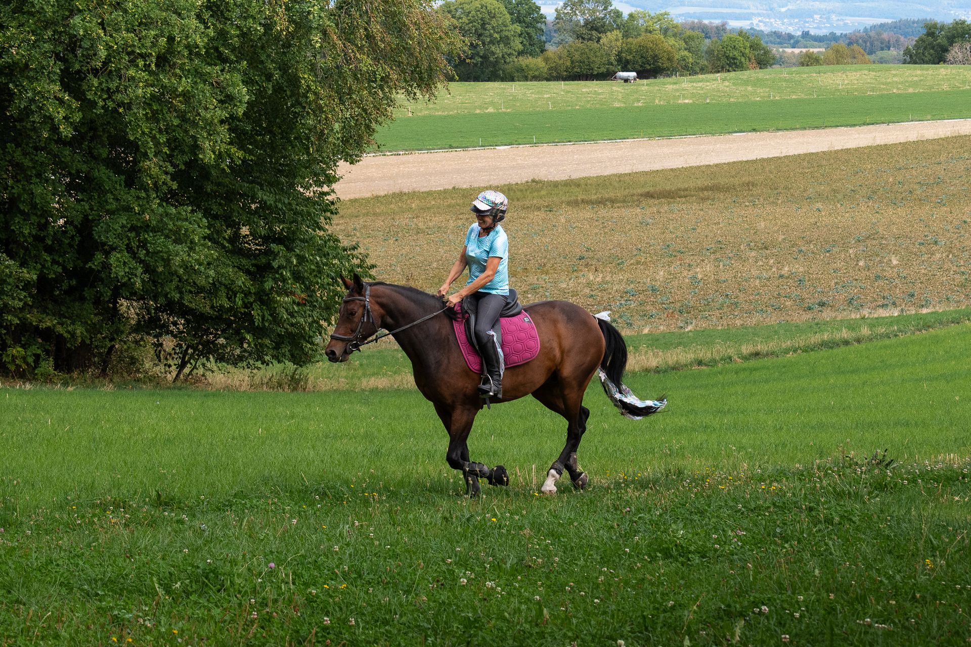 Horsestrail Combremont du 5 septembre 2026 — photo 128 du reportage PawsOnTrack
