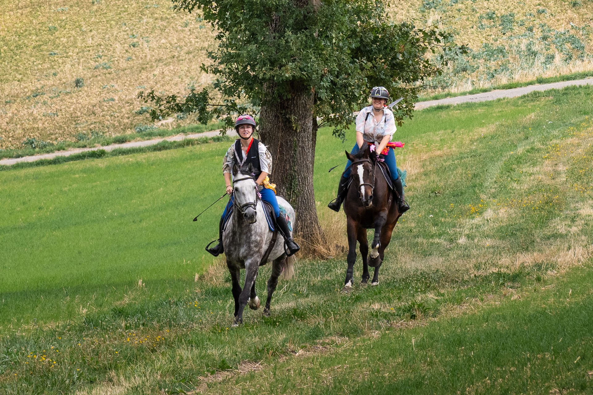 Horsestrail Combremont du 5 septembre 2026 — photo 89 du reportage PawsOnTrack