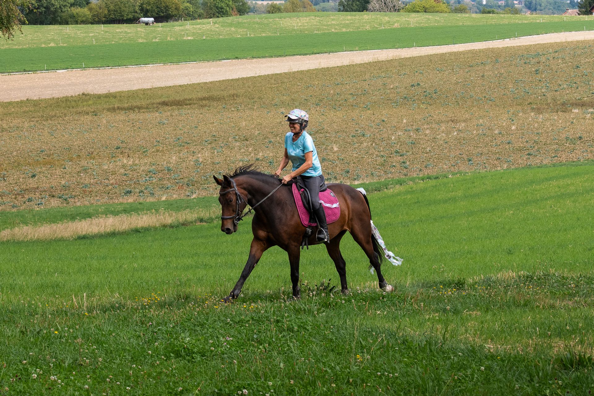 Horsestrail Combremont du 5 septembre 2026 — photo 104 du reportage PawsOnTrack