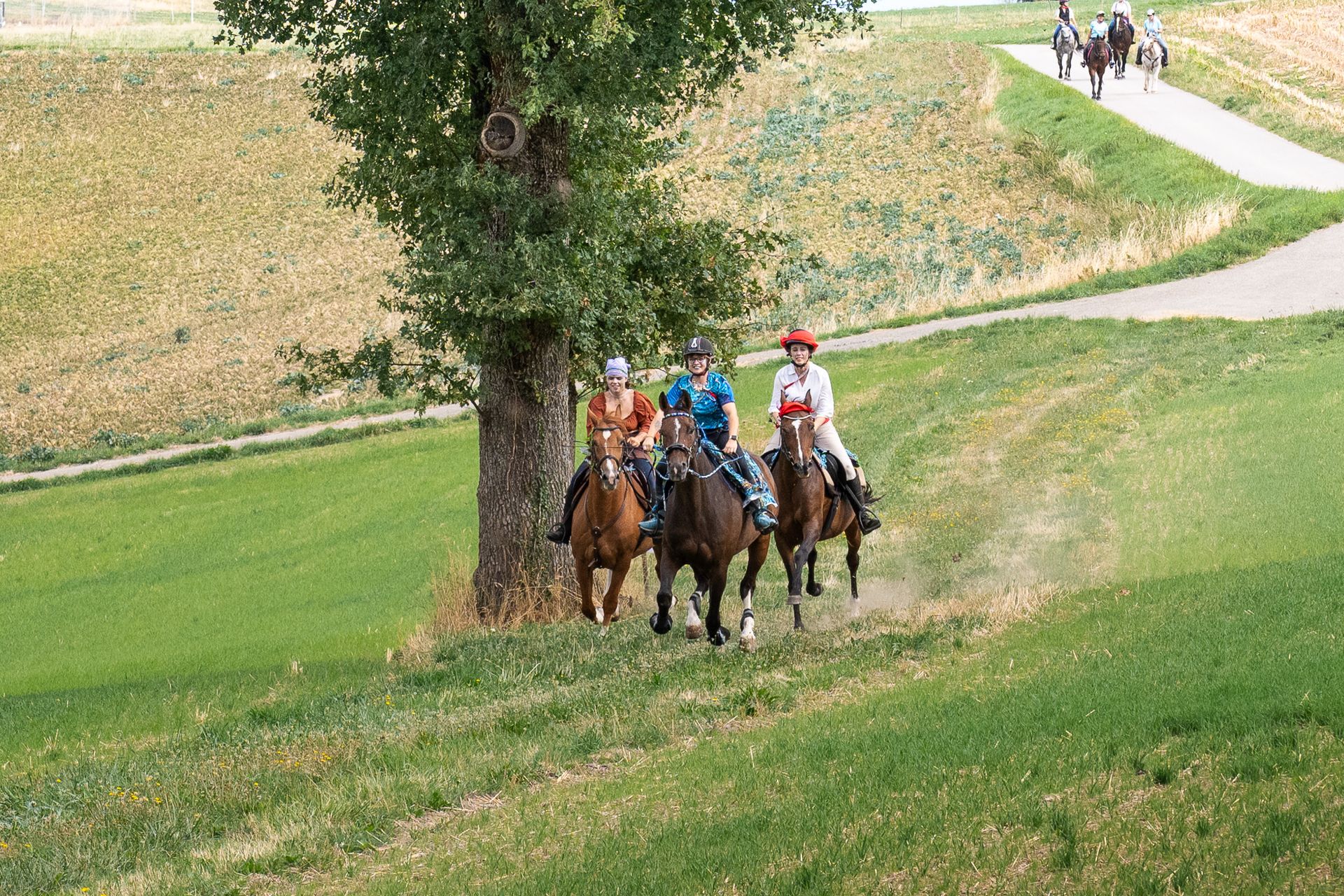 Horsestrail Combremont du 5 septembre 2026 — photo 134 du reportage PawsOnTrack