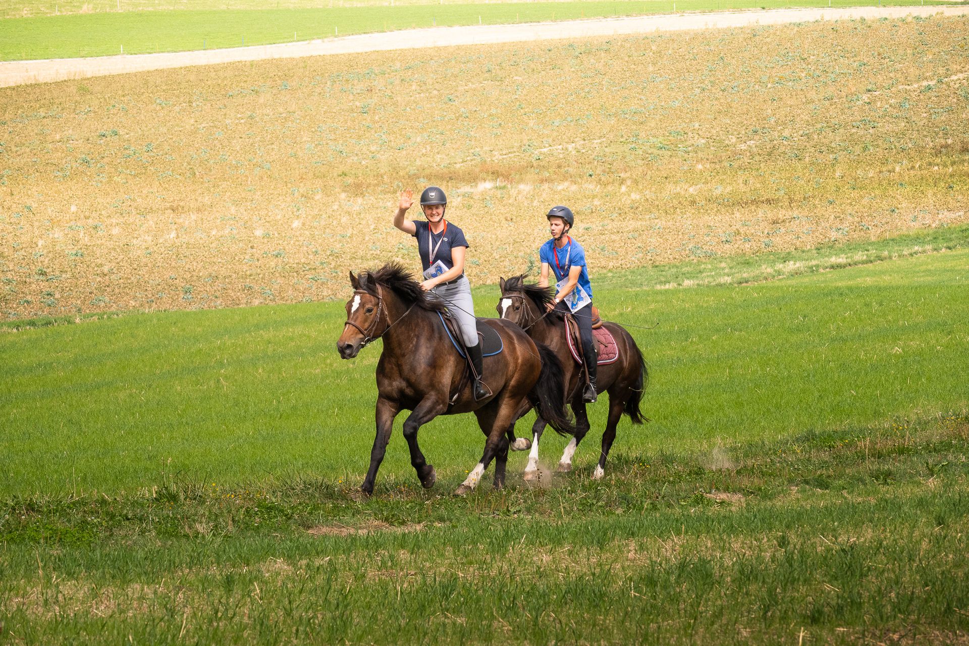 Horsestrail Combremont du 5 septembre 2026 — photo 149 du reportage PawsOnTrack