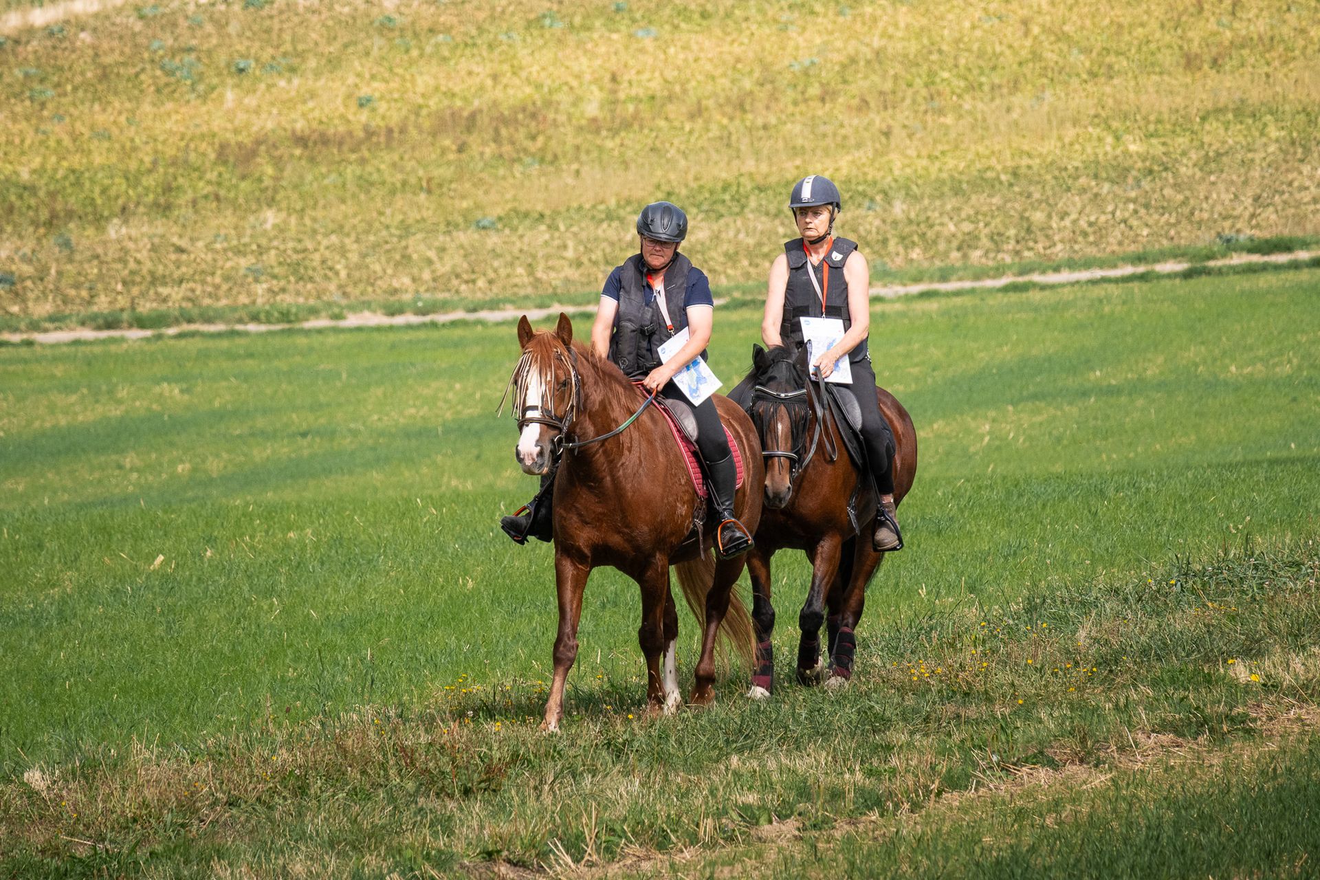 Horsestrail Combremont du 5 septembre 2026 — photo 21 du reportage PawsOnTrack