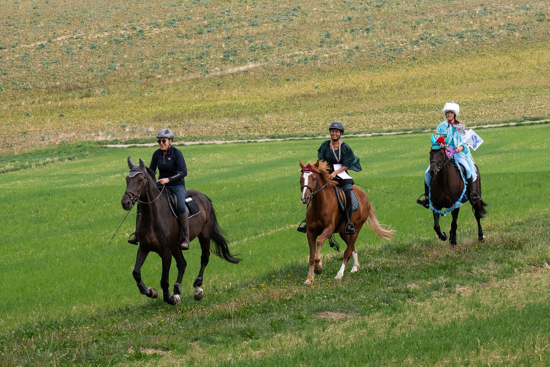 Horsestrail Combremont du 5 septembre 2026 — photo 152 du reportage PawsOnTrack