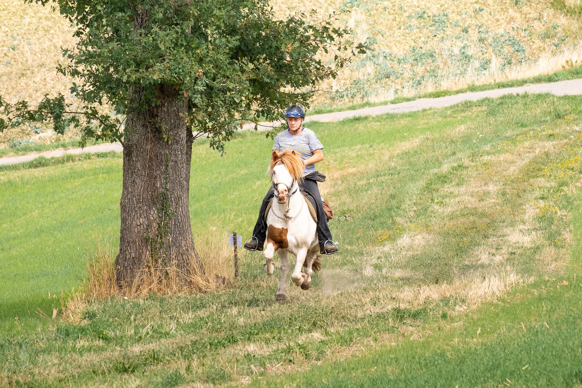 Horsestrail Combremont du 5 septembre 2026 — photo 143 du reportage PawsOnTrack