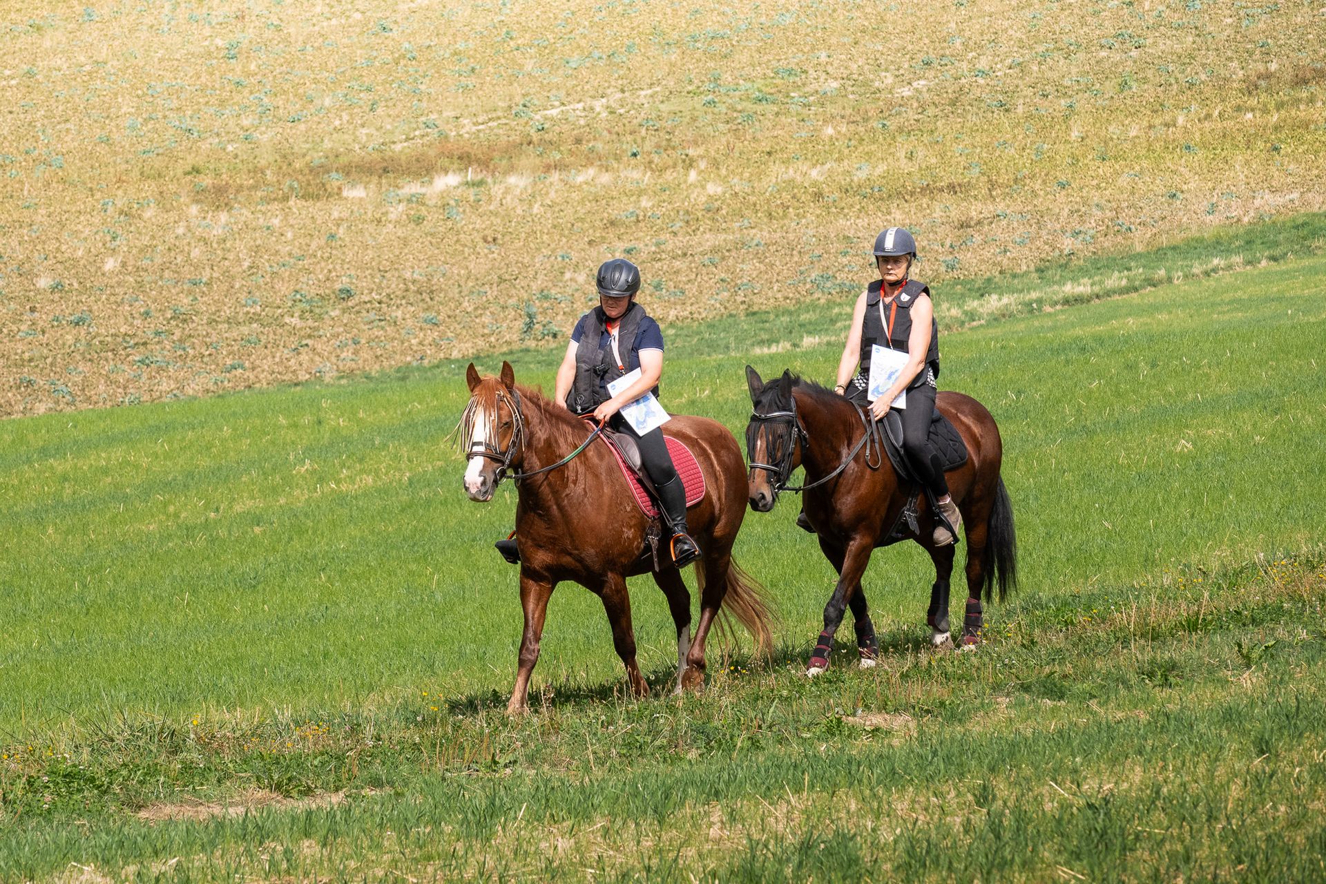 Horsestrail Combremont du 5 septembre 2026 — photo 155 du reportage PawsOnTrack