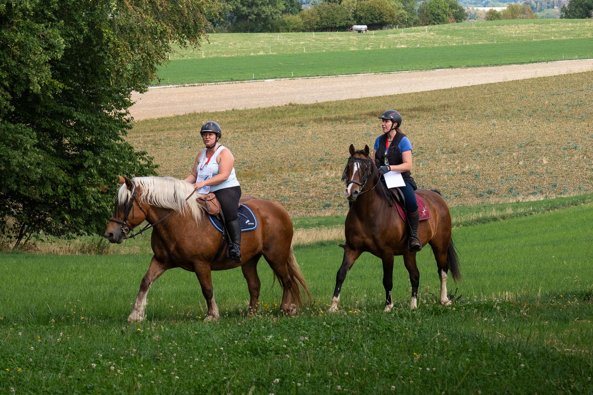 Horsestrail Combremont du 5 septembre 2026 — photo 51 du reportage PawsOnTrack