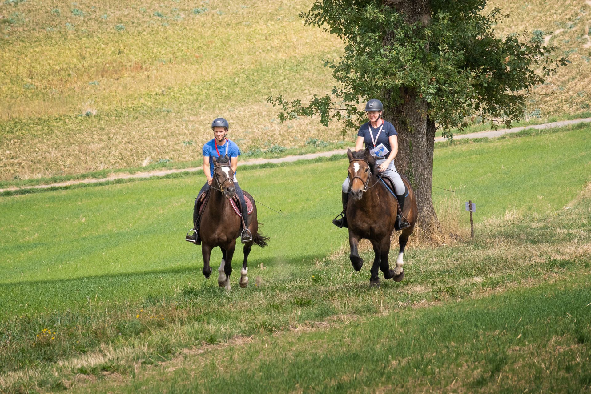 Horsestrail Combremont du 5 septembre 2026 — photo 45 du reportage PawsOnTrack