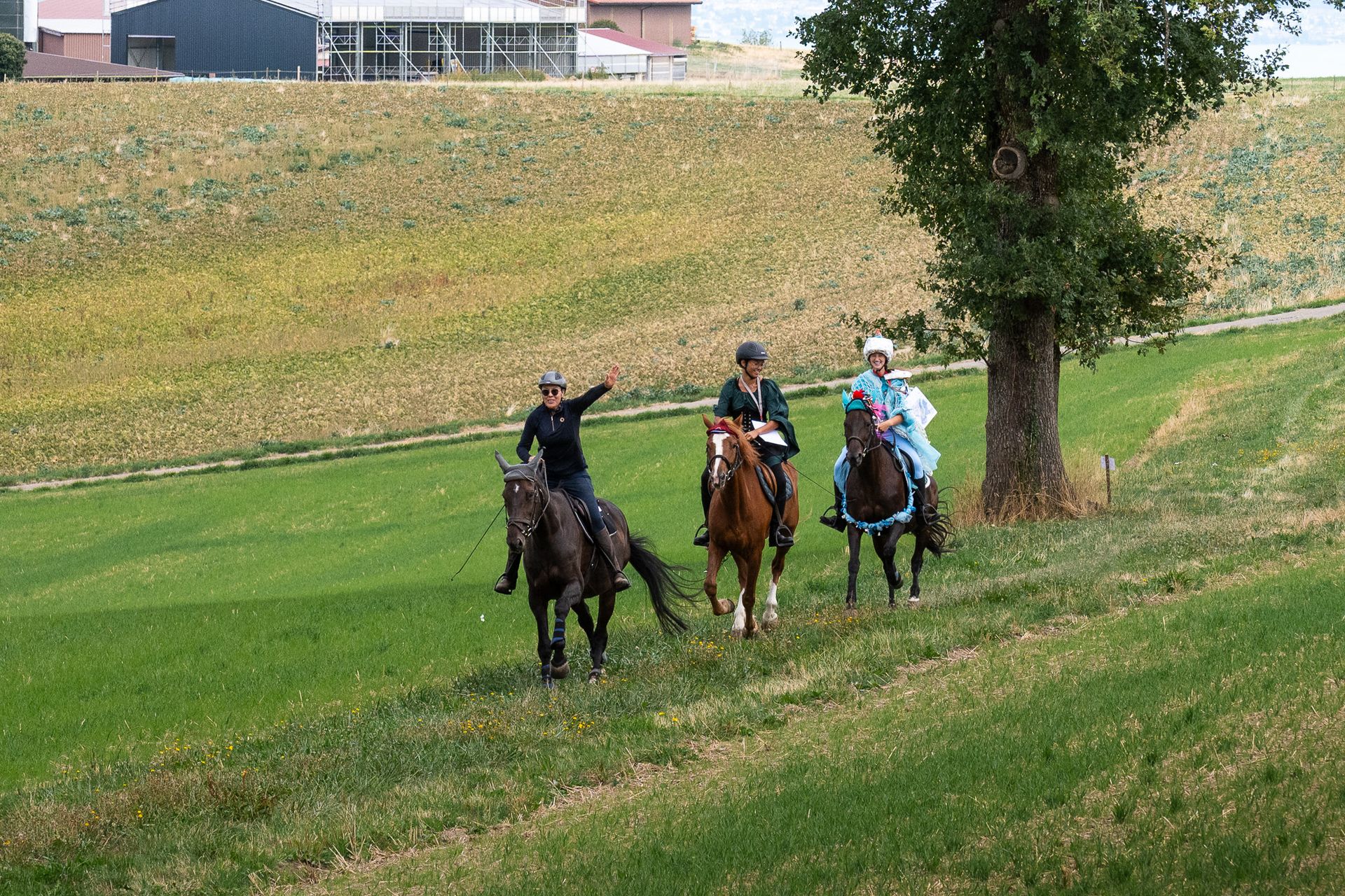 Horsestrail Combremont du 5 septembre 2026 — photo 173 du reportage PawsOnTrack