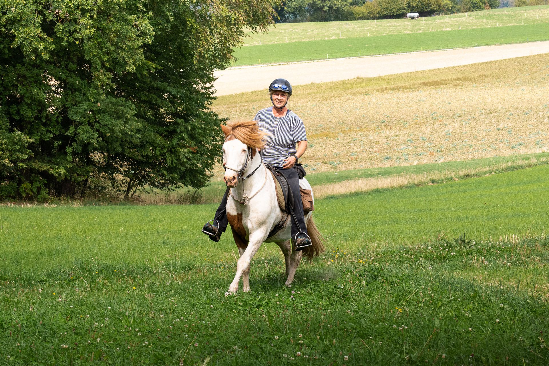 Horsestrail Combremont du 5 septembre 2026 — photo 164 du reportage PawsOnTrack