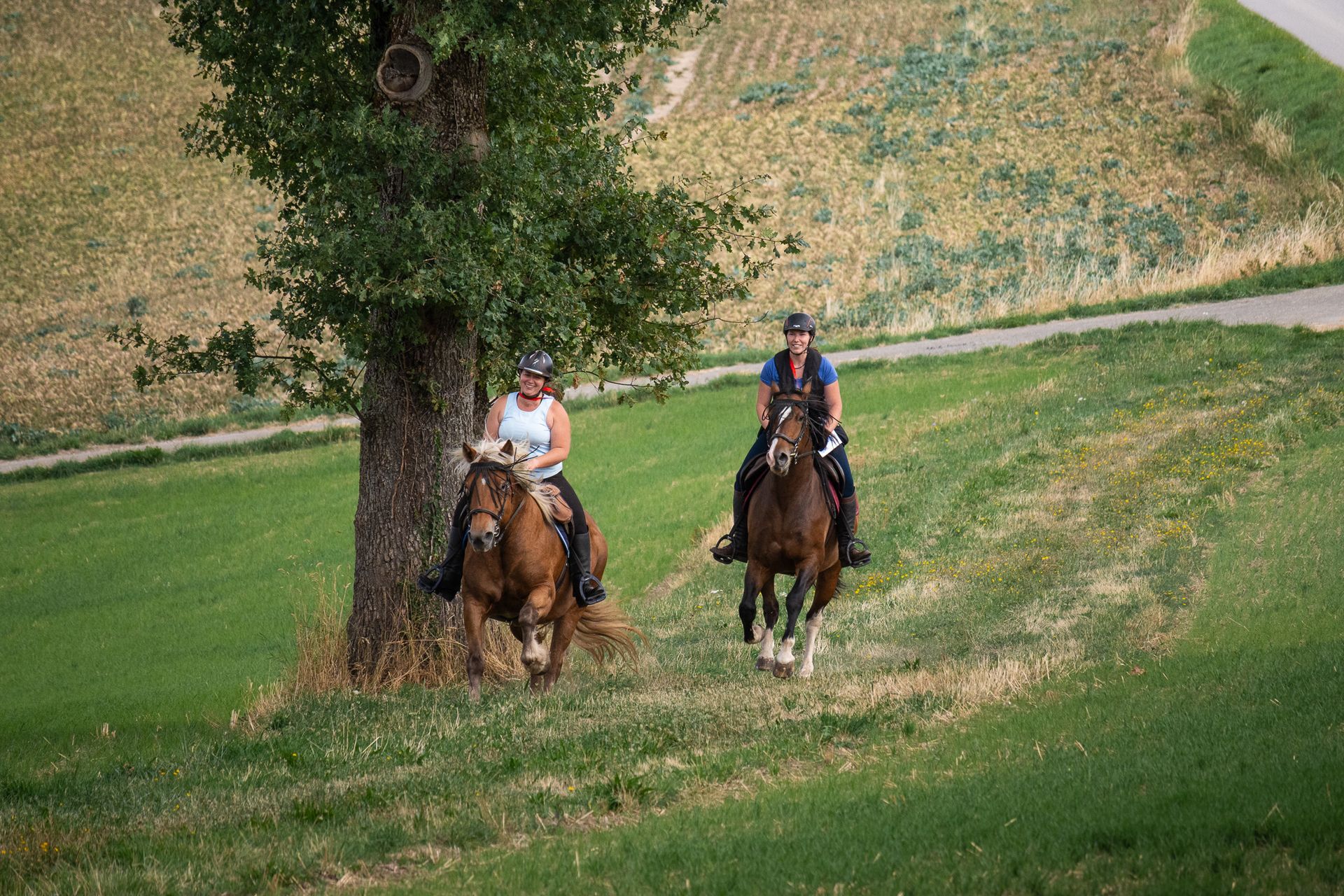 Horsestrail Combremont du 5 septembre 2026 — photo 39 du reportage PawsOnTrack