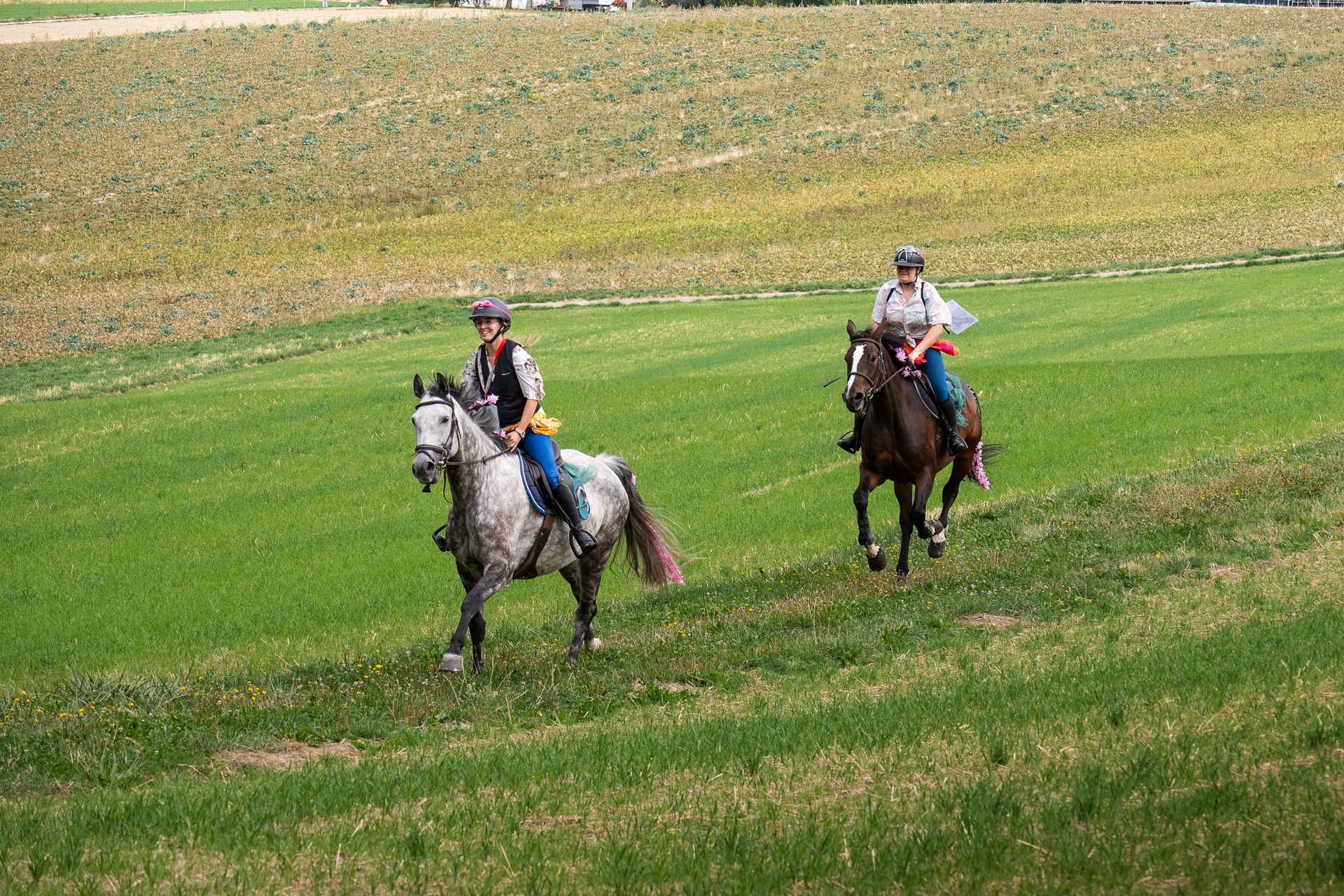 Horsestrail Combremont du 5 septembre 2026 — photo 167 du reportage PawsOnTrack