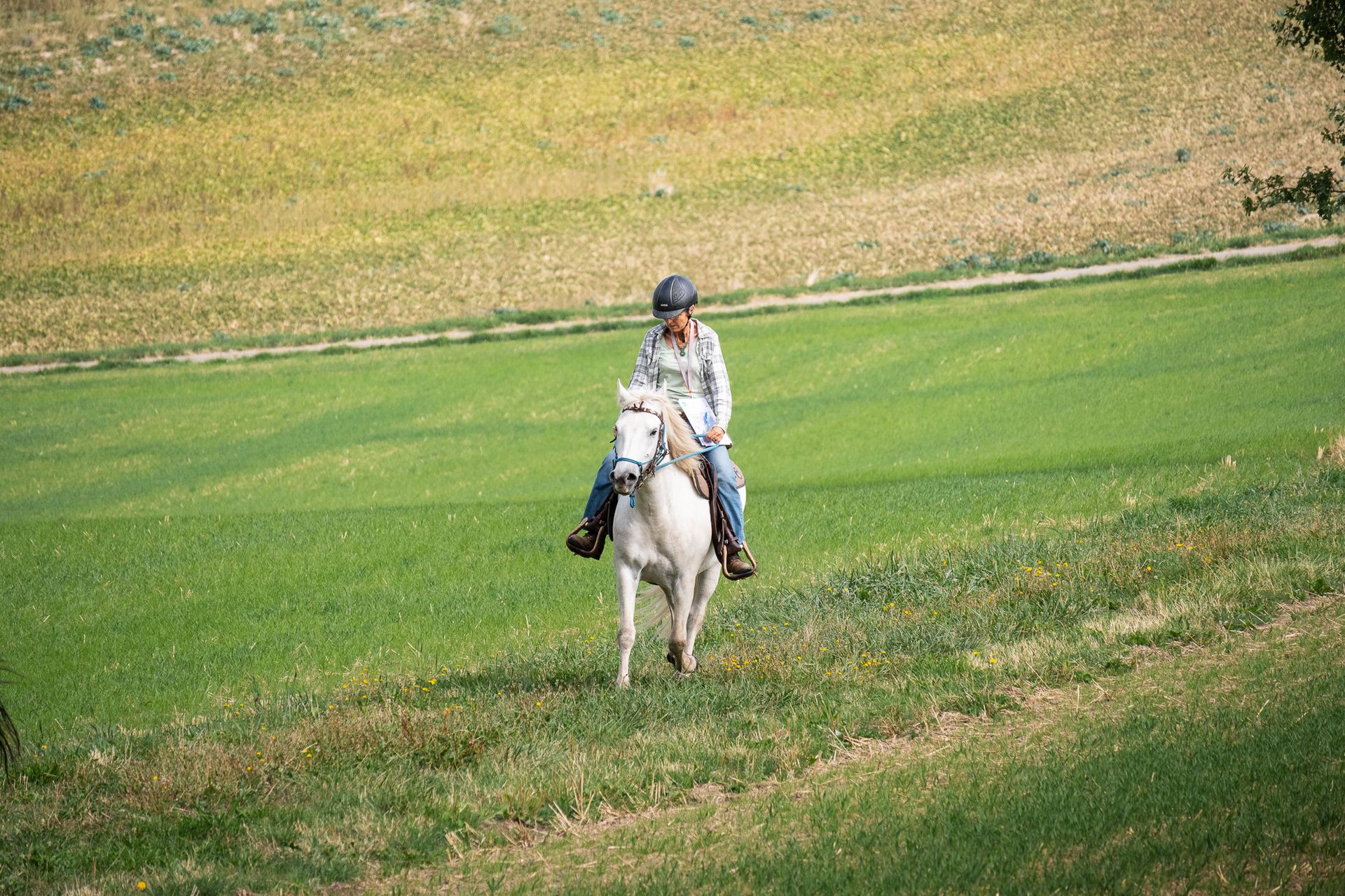 Horsestrail Combremont du 5 septembre 2026 — photo 24 du reportage PawsOnTrack