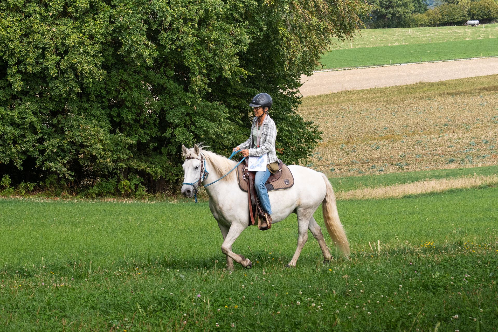 Horsestrail Combremont du 5 septembre 2026 — photo 188 du reportage PawsOnTrack
