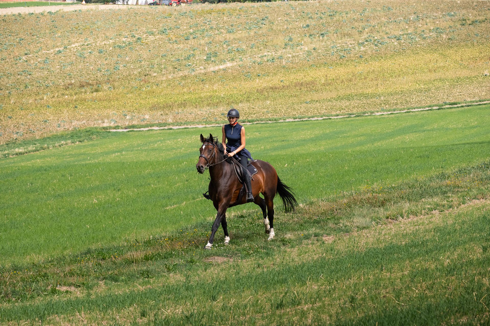 Horsestrail Combremont du 5 septembre 2026 — photo 182 du reportage PawsOnTrack