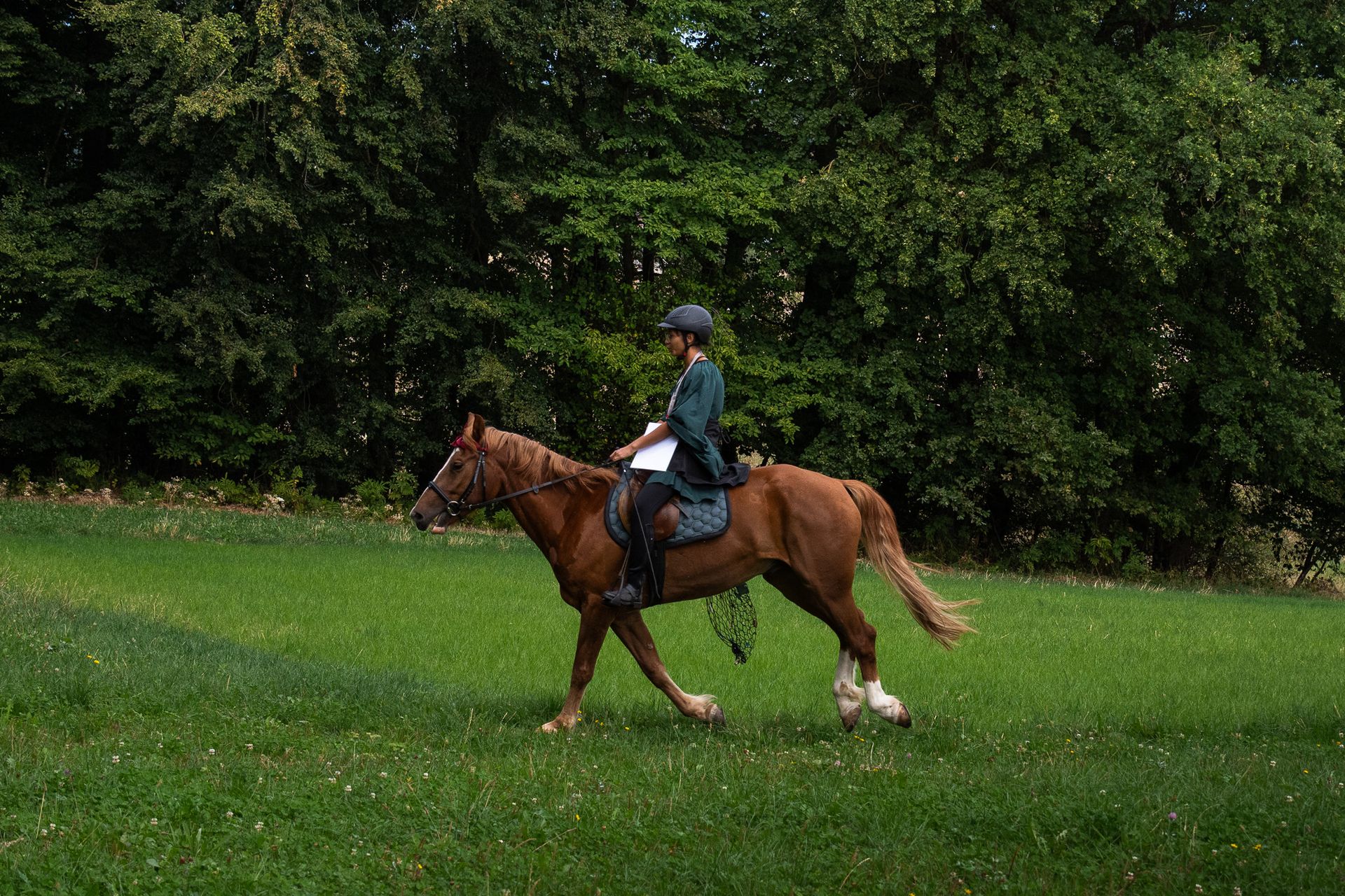 Horsestrail Combremont du 5 septembre 2026 — photo 72 du reportage PawsOnTrack