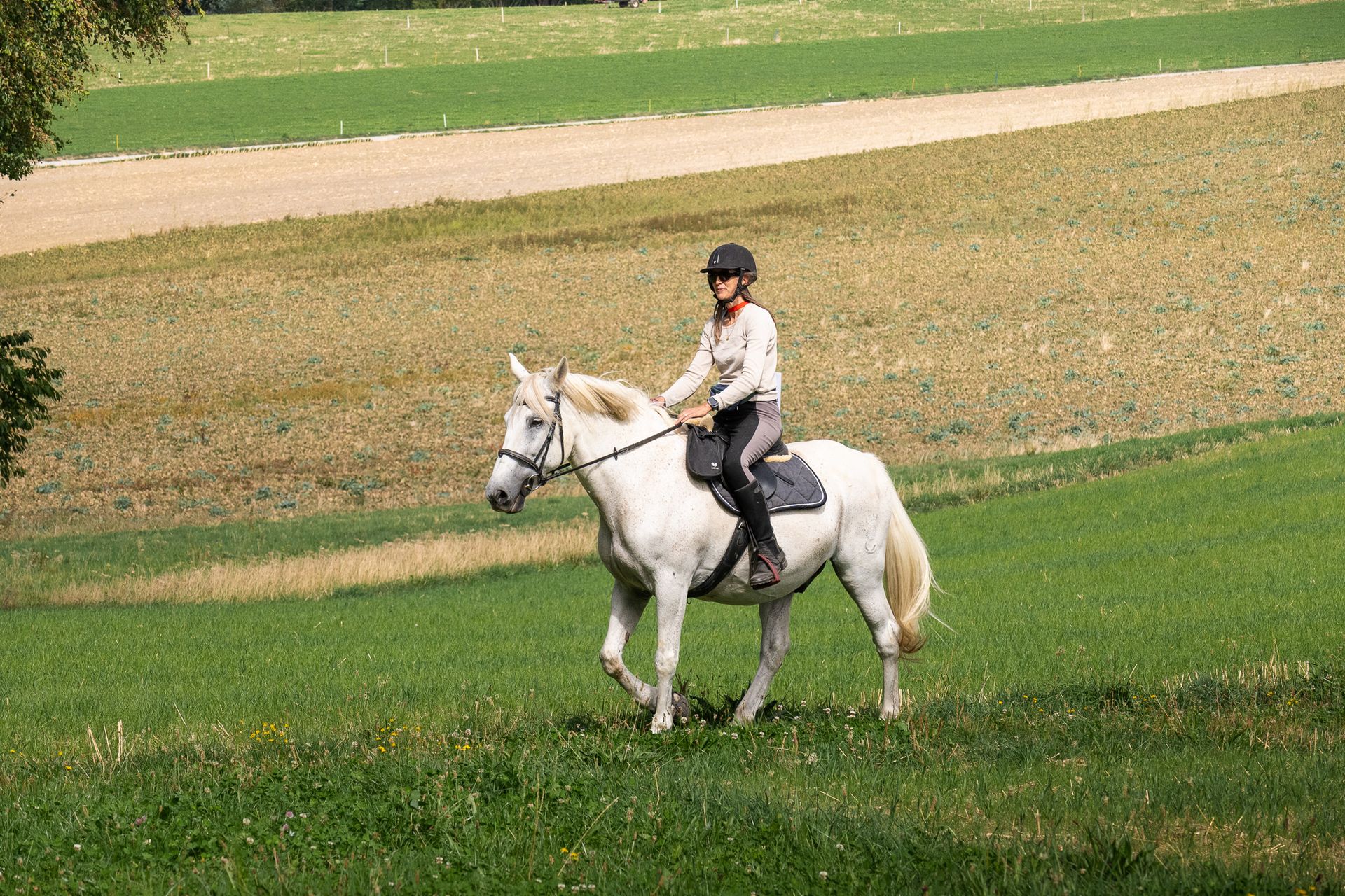 Horsestrail Combremont du 5 septembre 2026 — photo 75 du reportage PawsOnTrack