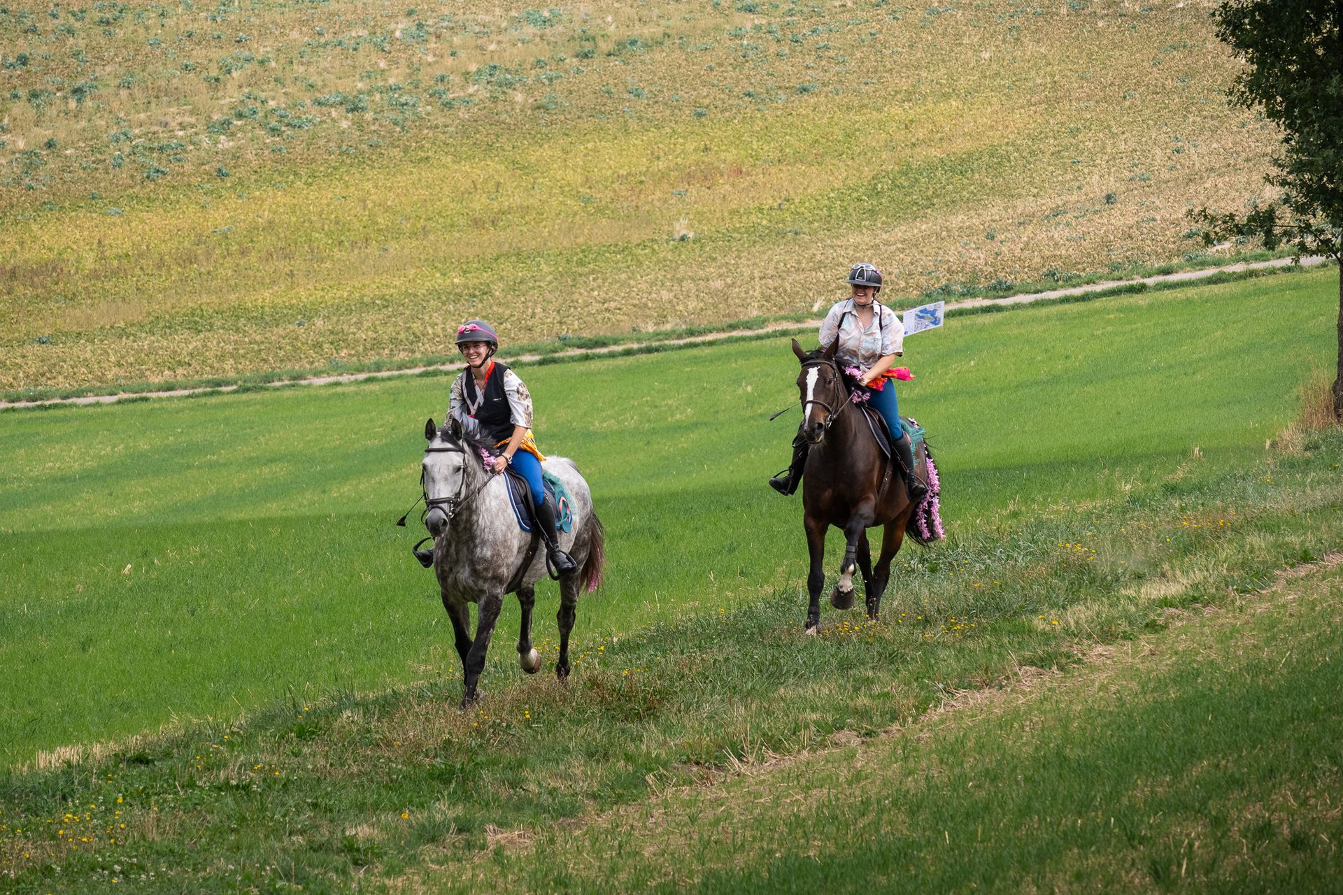 Horsestrail Combremont du 5 septembre 2026 — photo 81 du reportage PawsOnTrack